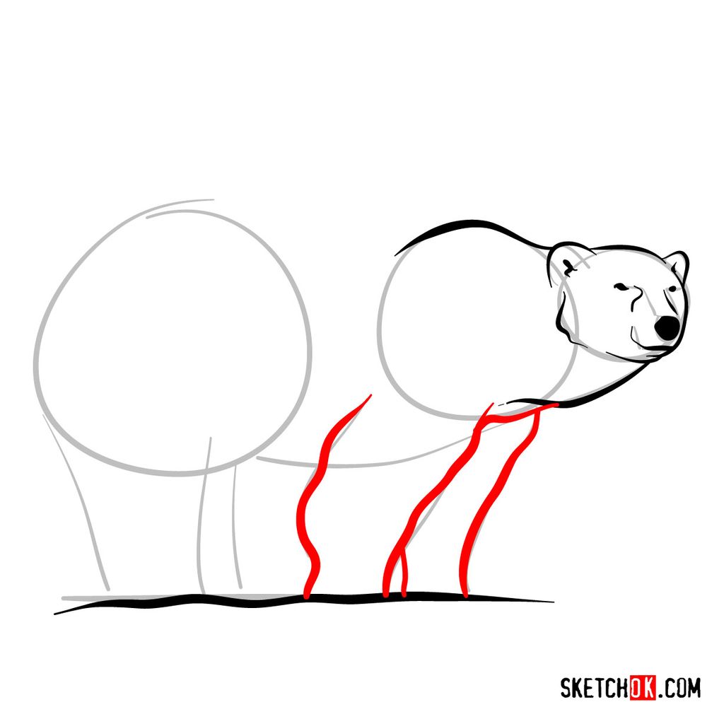 How to Draw a Polar Bear – Last of the Polar Bears