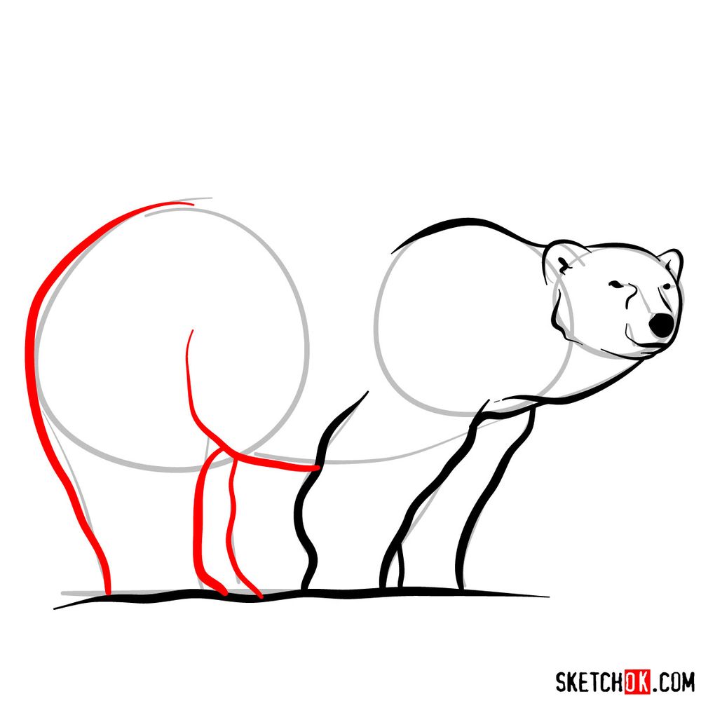 How to draw a polar bear with a baby bear - step 07
