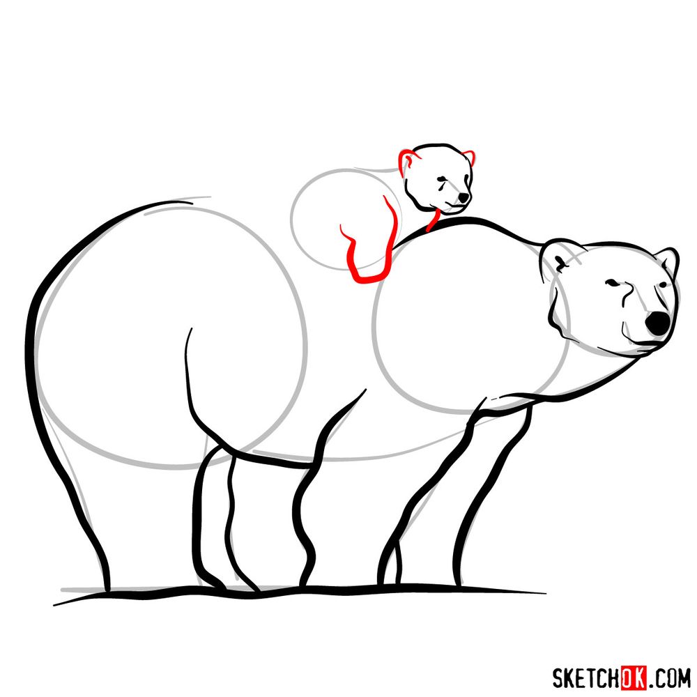 How to draw a polar bear with a baby bear - step 11