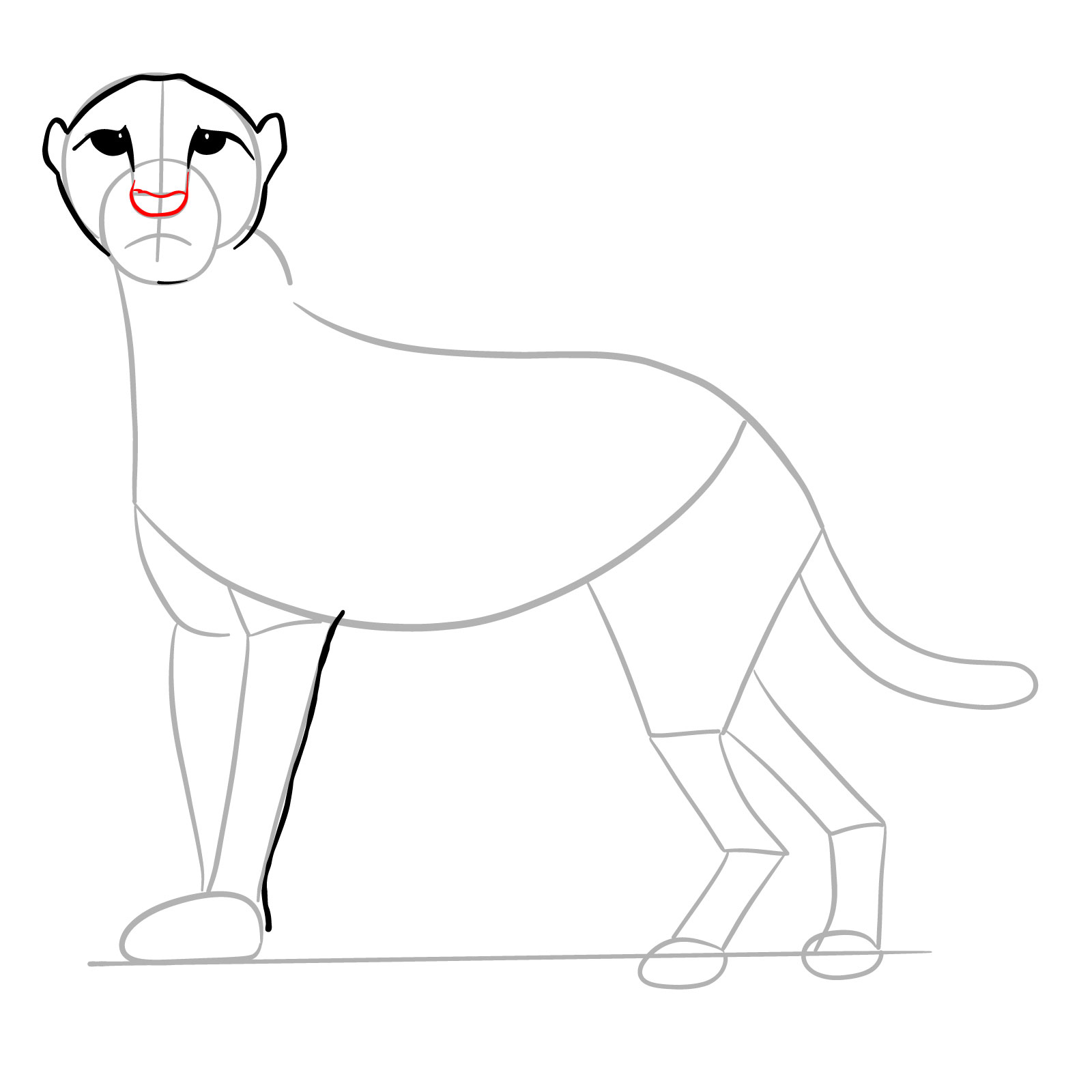 How to draw a Cheetah - step 09