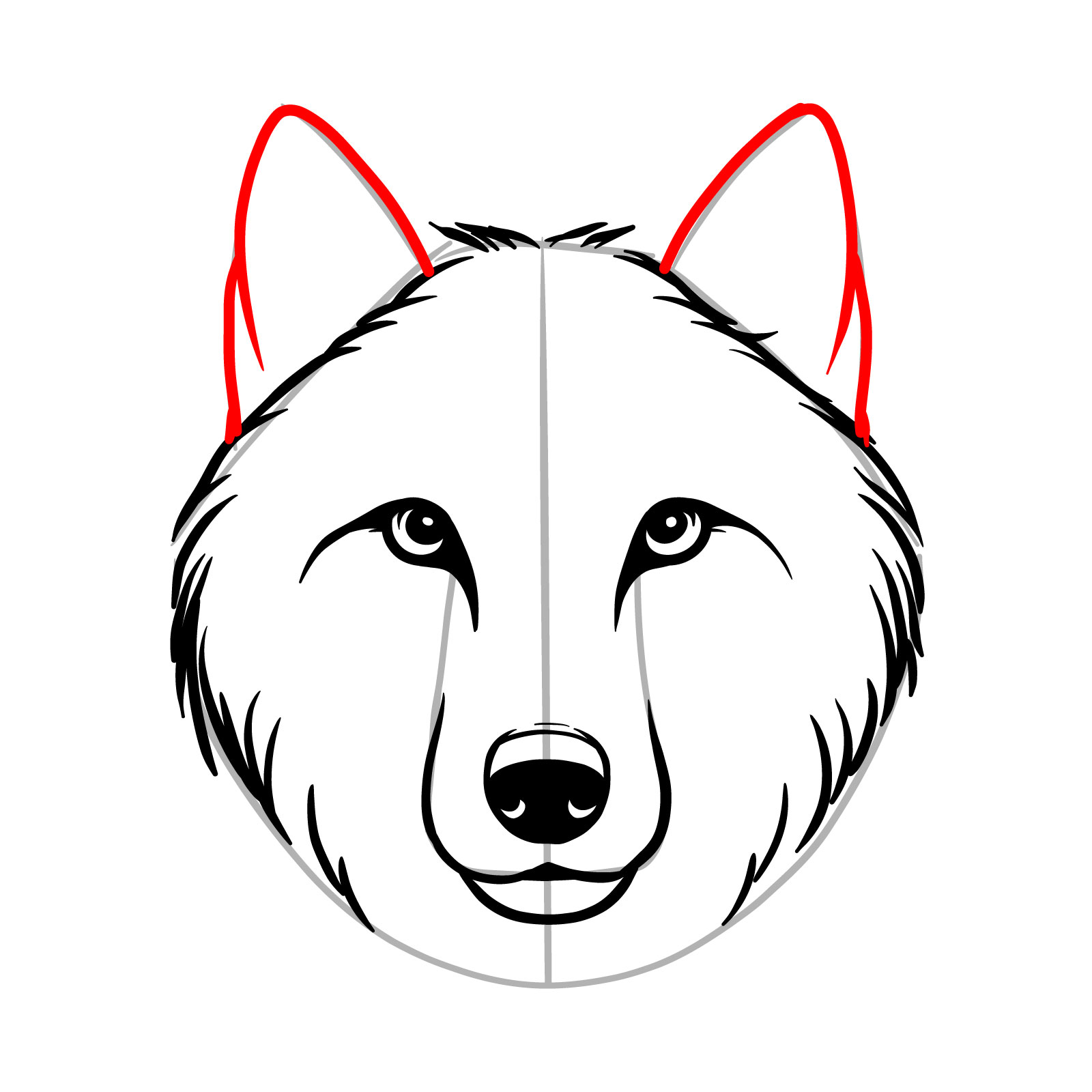 Drawing the ears in step 10 of a realistic wolf face tutorial