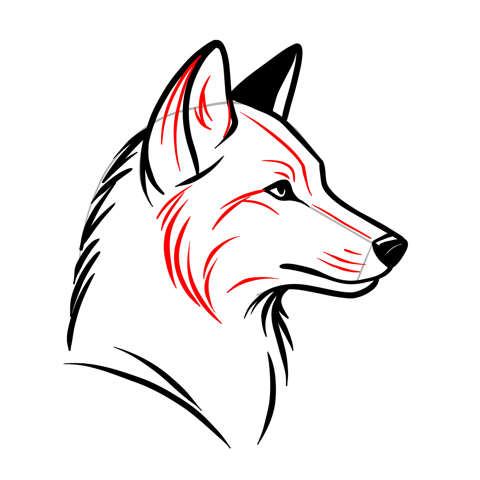 Adding final details to a realistic wolf's head side view drawing - step 09