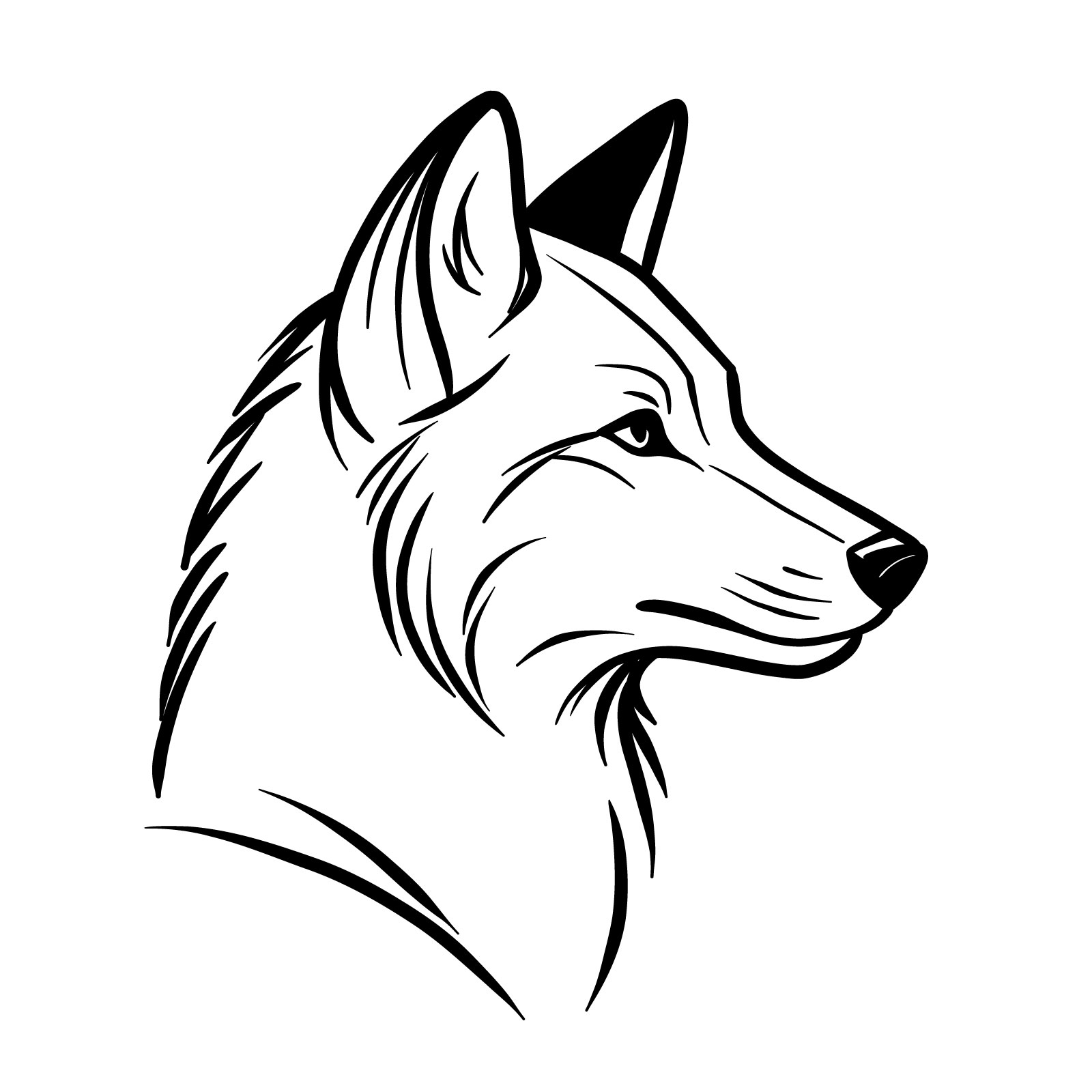 How to draw a wolf's head side view - step-by-step guide