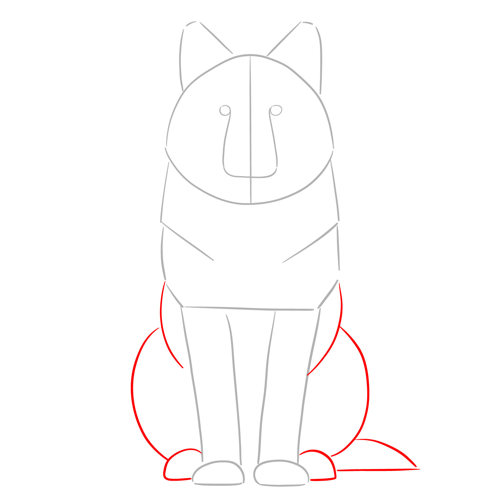 How to draw a sitting wolf front view with shapes for the rear legs and tail - step 03