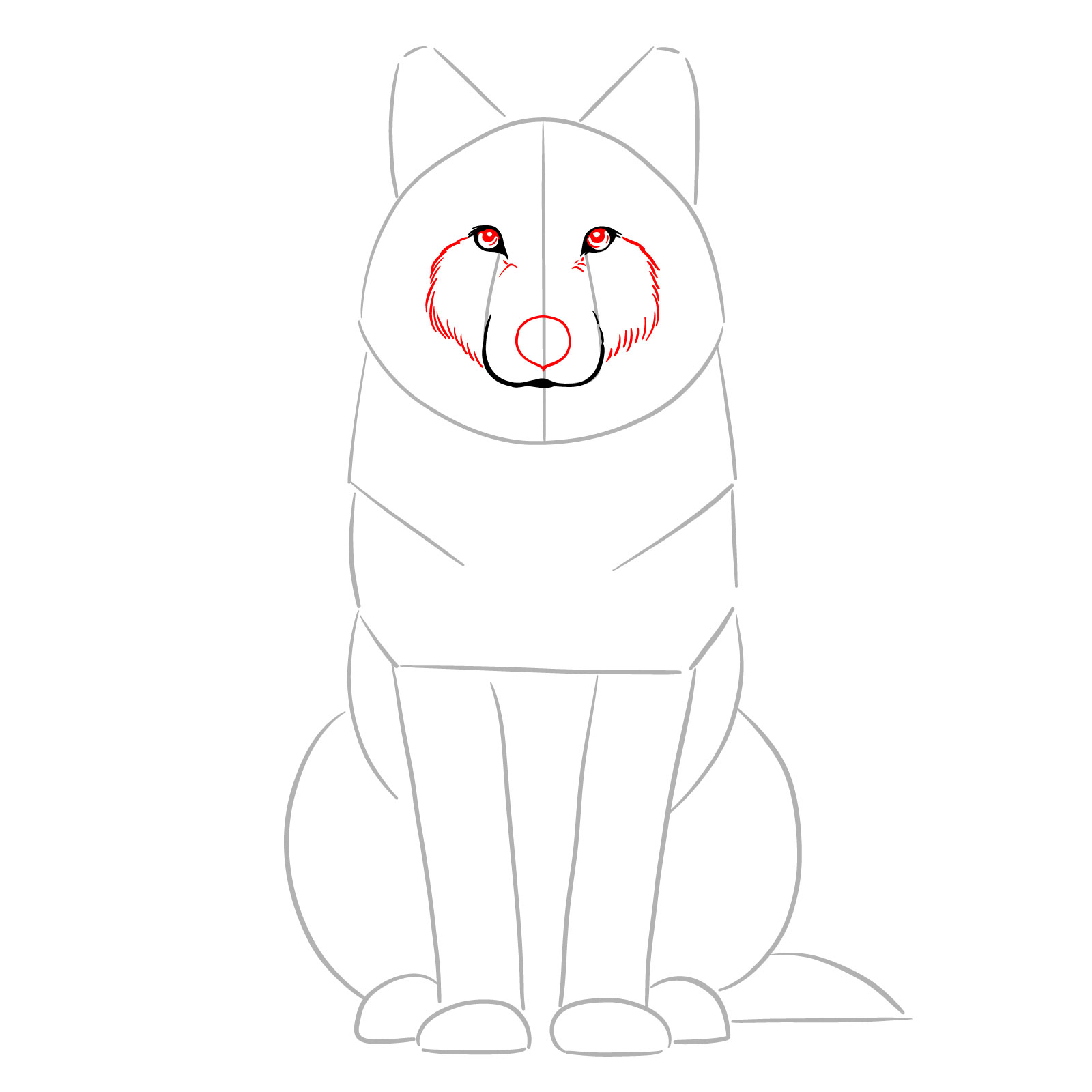 Adding facial features to a sitting wolf drawing with detailed steps - step 05