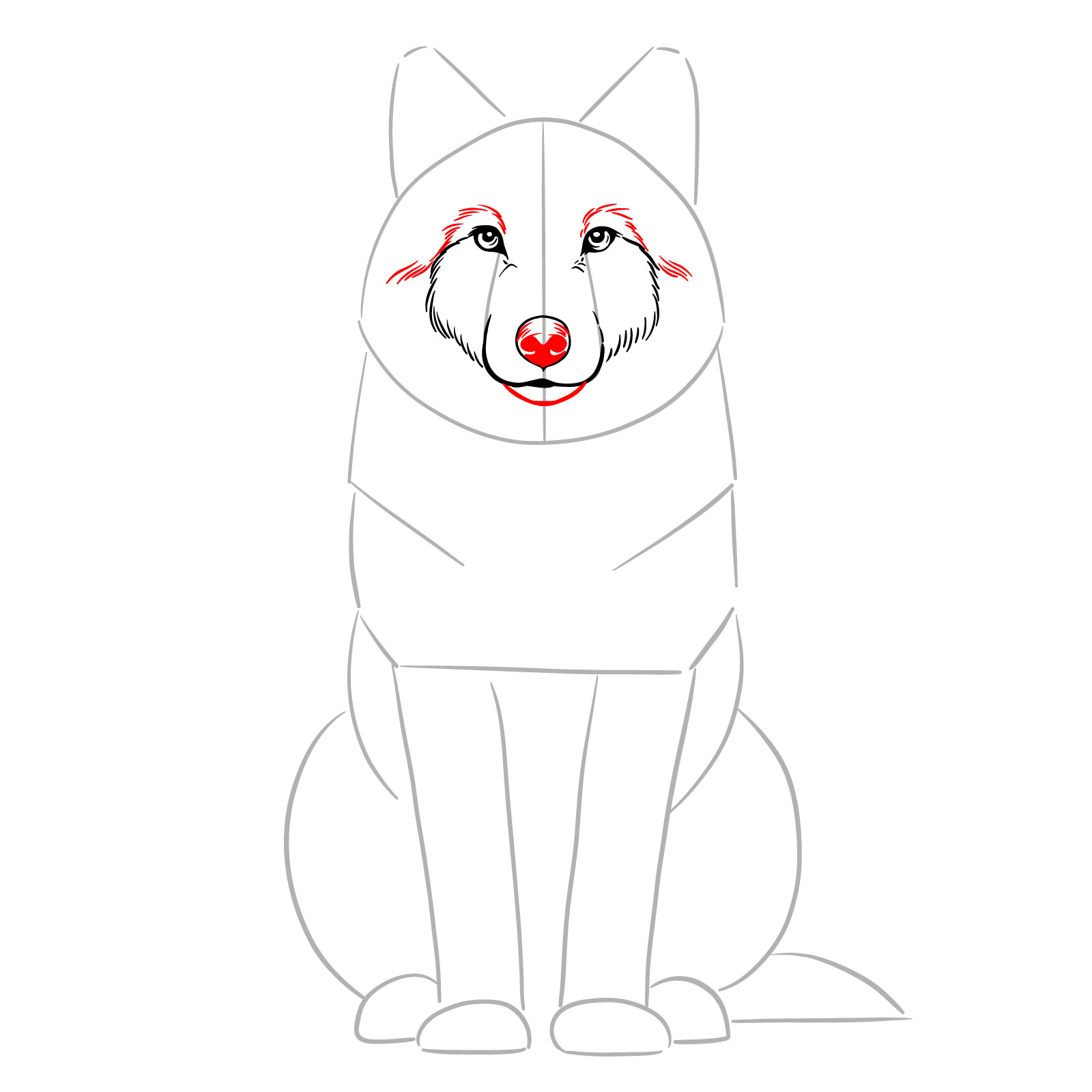 Step-by-step facial detailing of a sitting wolf drawing focusing on the snout - step 06