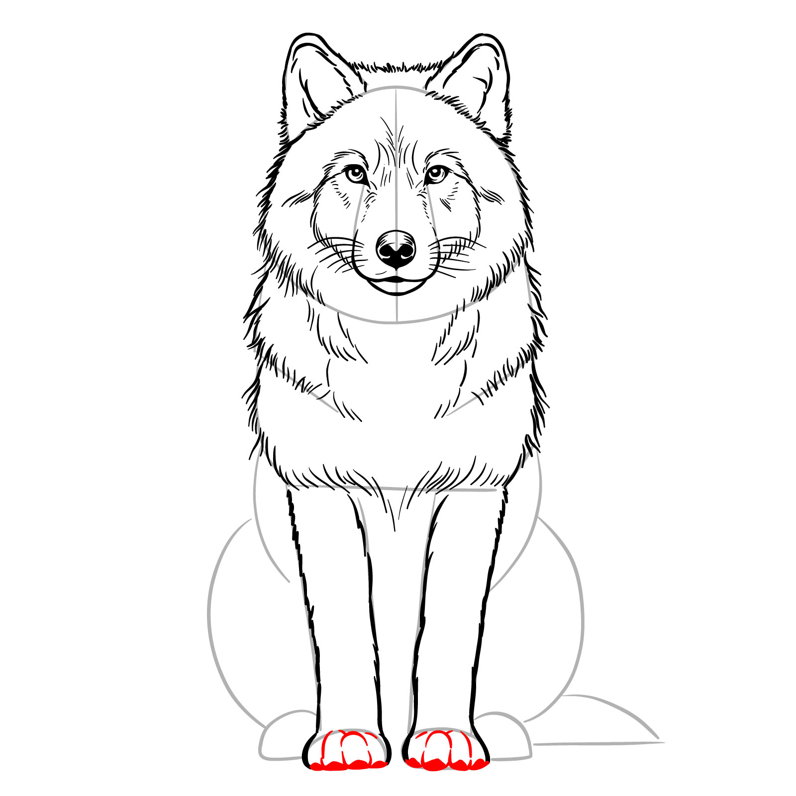 Sketching the front paws of a sitting wolf drawing step-by-step - step 13
