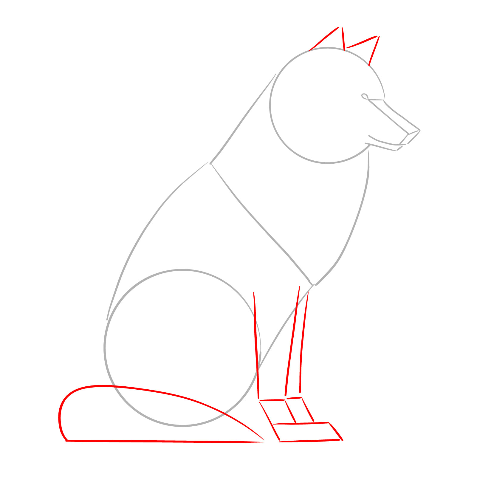 Simple leg and tail shapes added to a wolf drawing guide - step 02