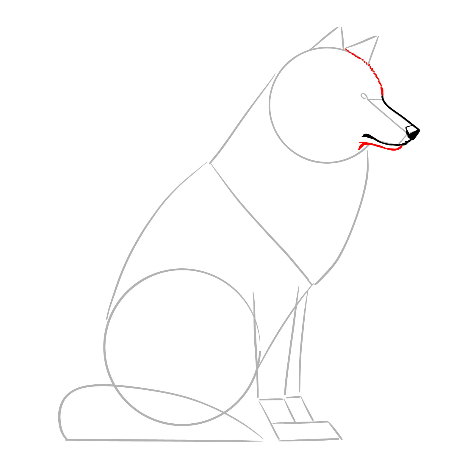 Creating a fur texture on the wolf's snout and forehead in a drawing - step 04