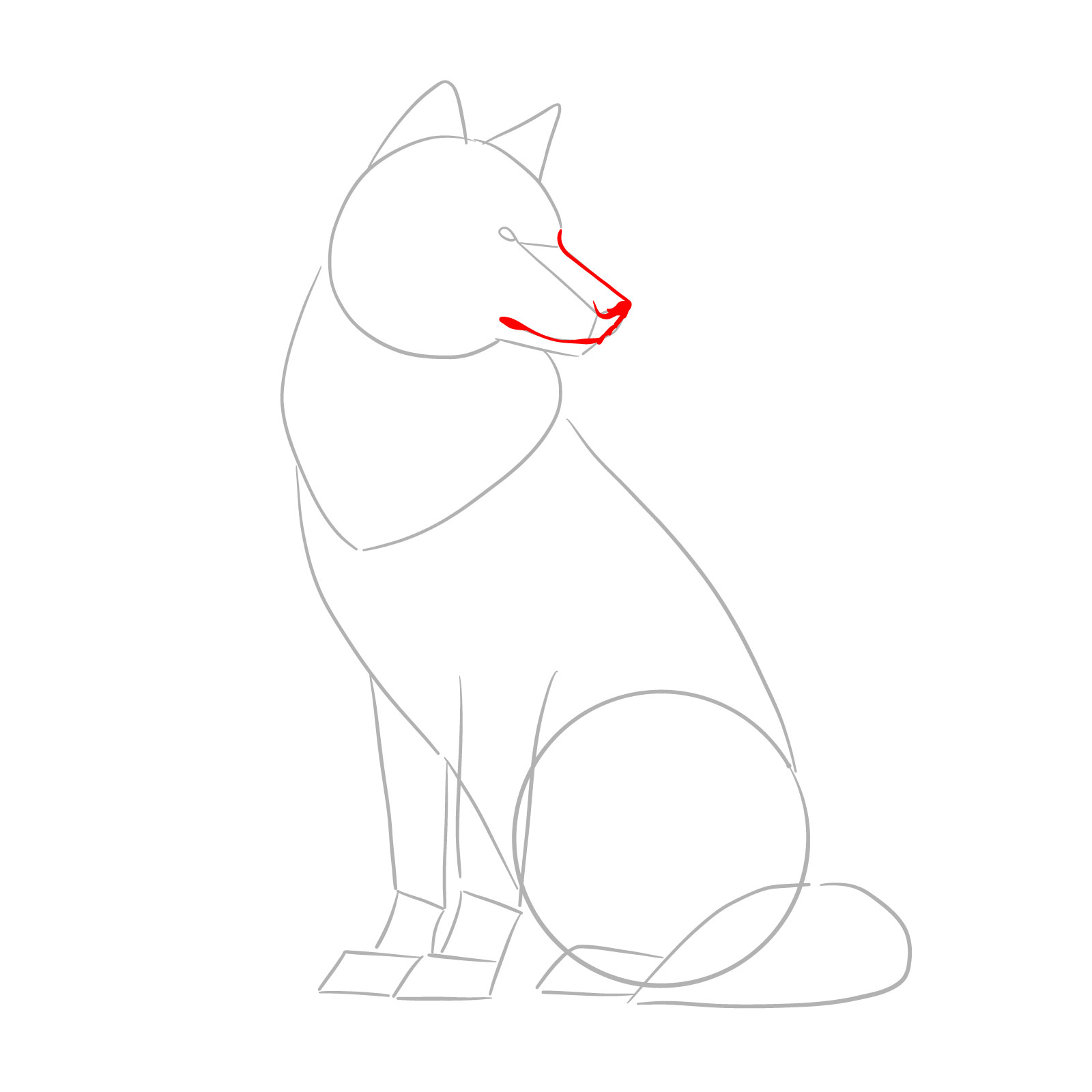 Outlining the upper snout and facial features of a sitting wolf - step 04