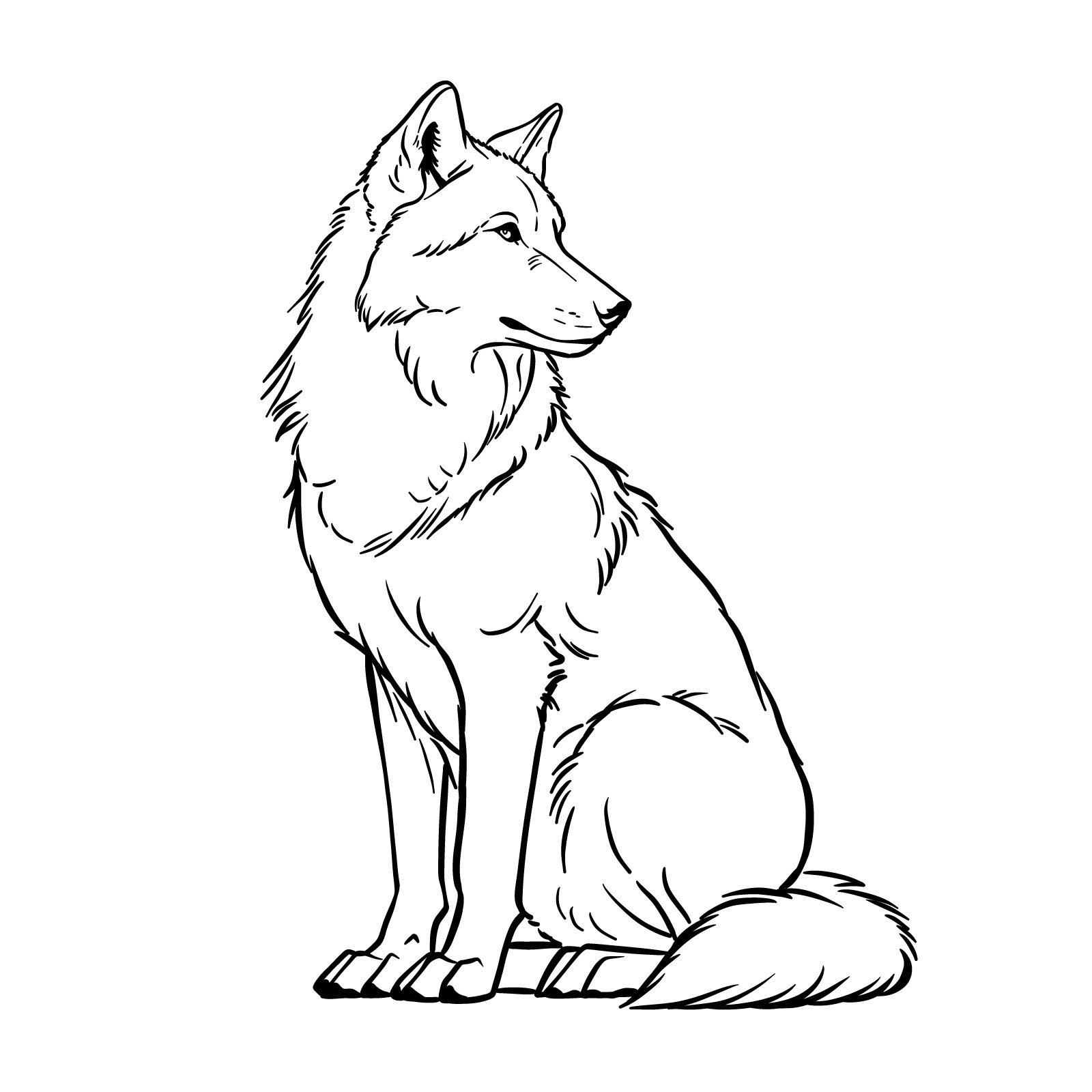 Completed inked sketch of a sitting wolf - step 16