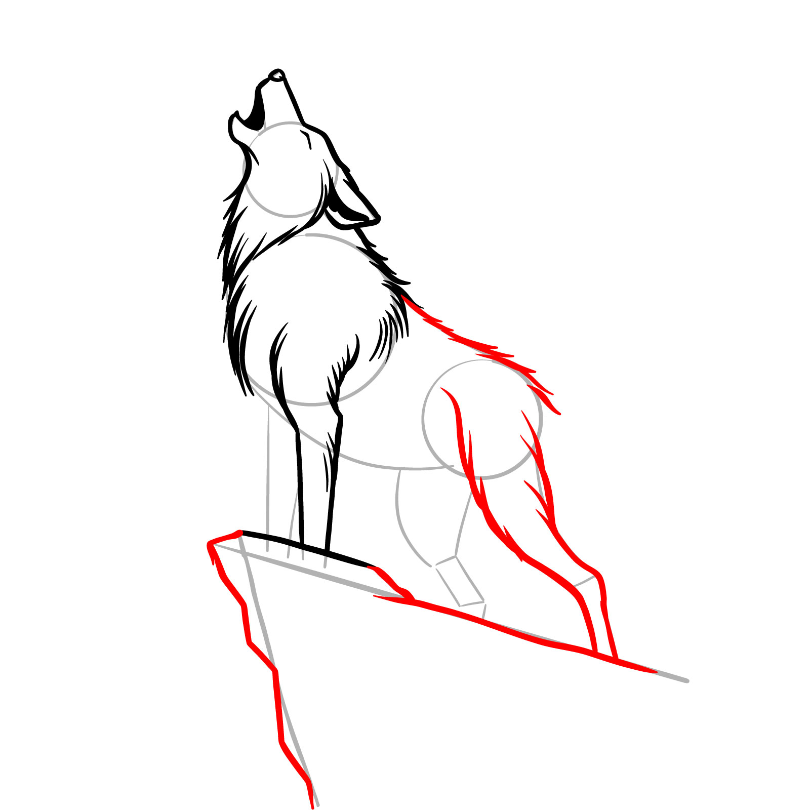 Sketching the back and hidden rear leg of a howling wolf - step 08