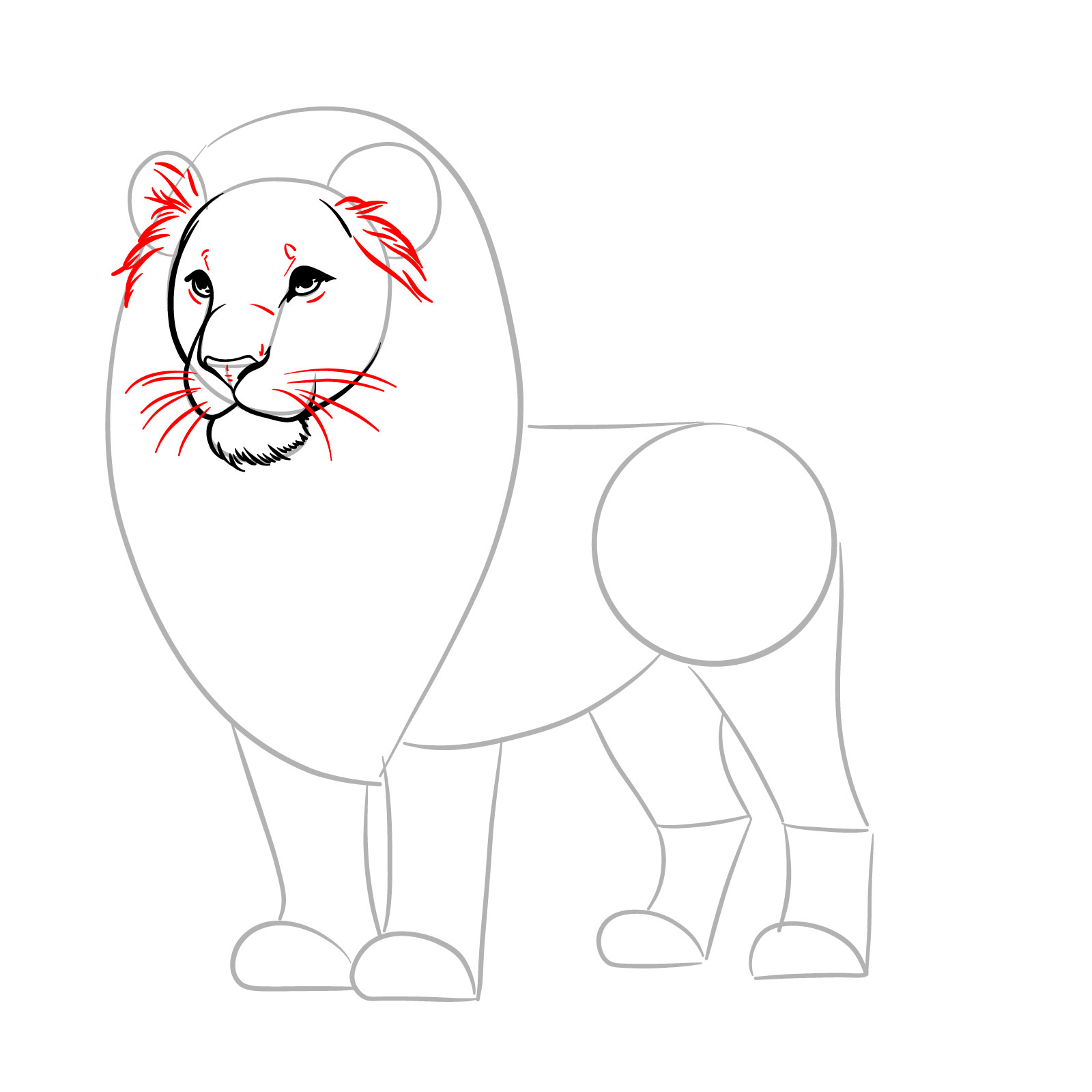 Lion with facial details and ear fur - step 06