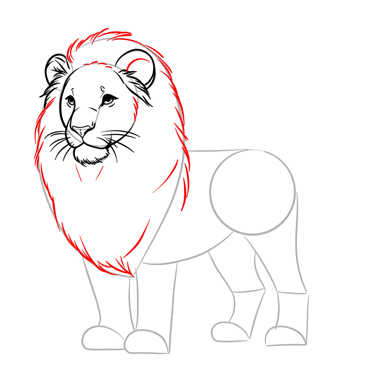 Drawing of lion's mane details with short strokes - step 08