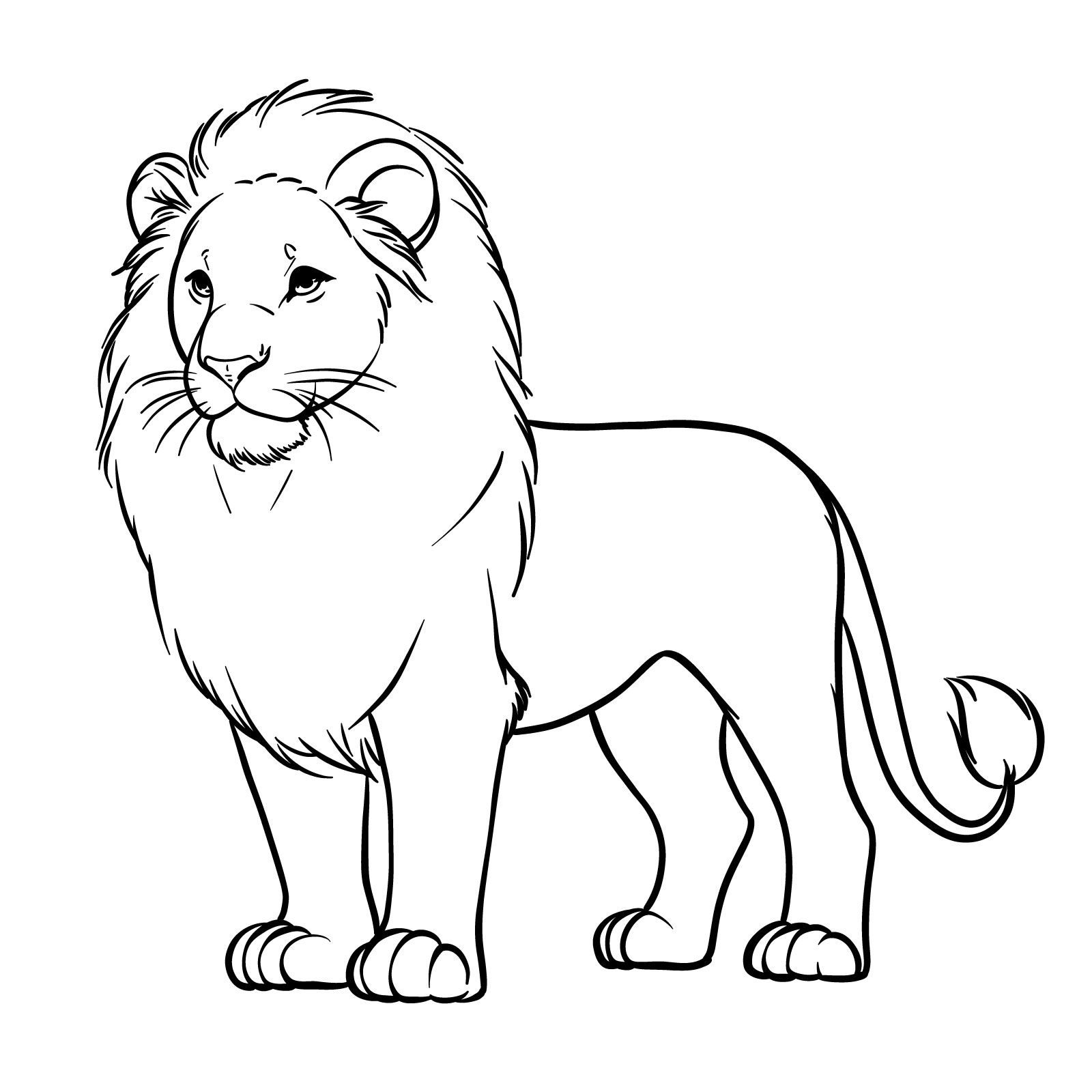 Learn how to draw a simplified realistic lion - the result