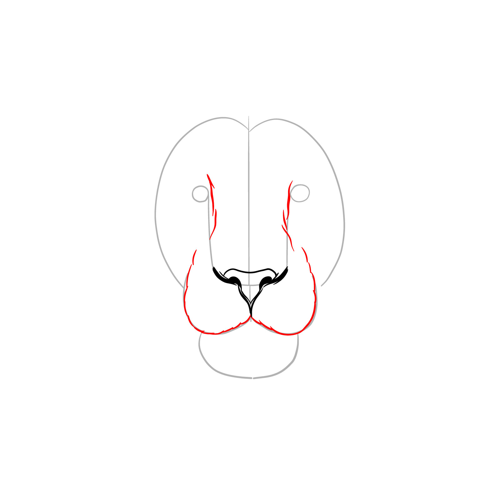Outlining the muzzle of a lion's face front view - step 04