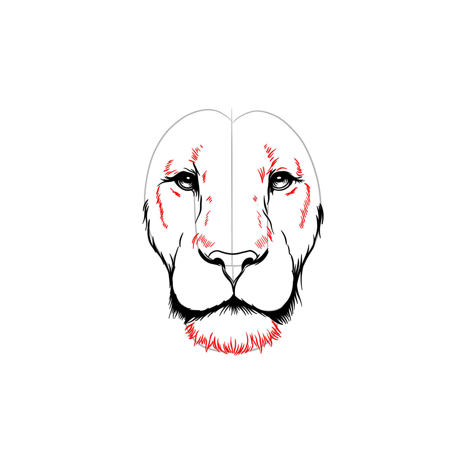 Adding chin details to a lion's face front view drawing - step 08
