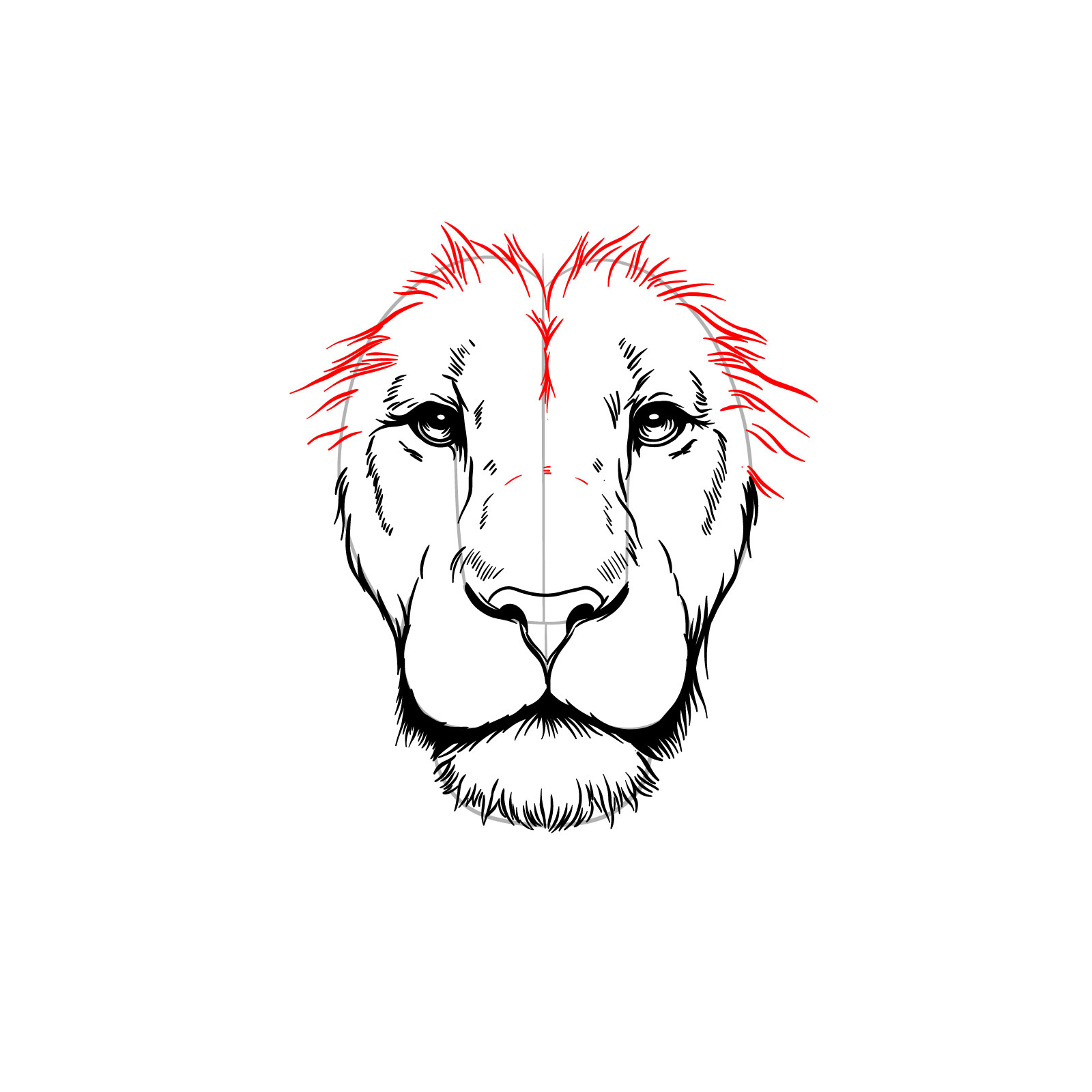 Detailing the upper face frame in a lion's face drawing - step 09