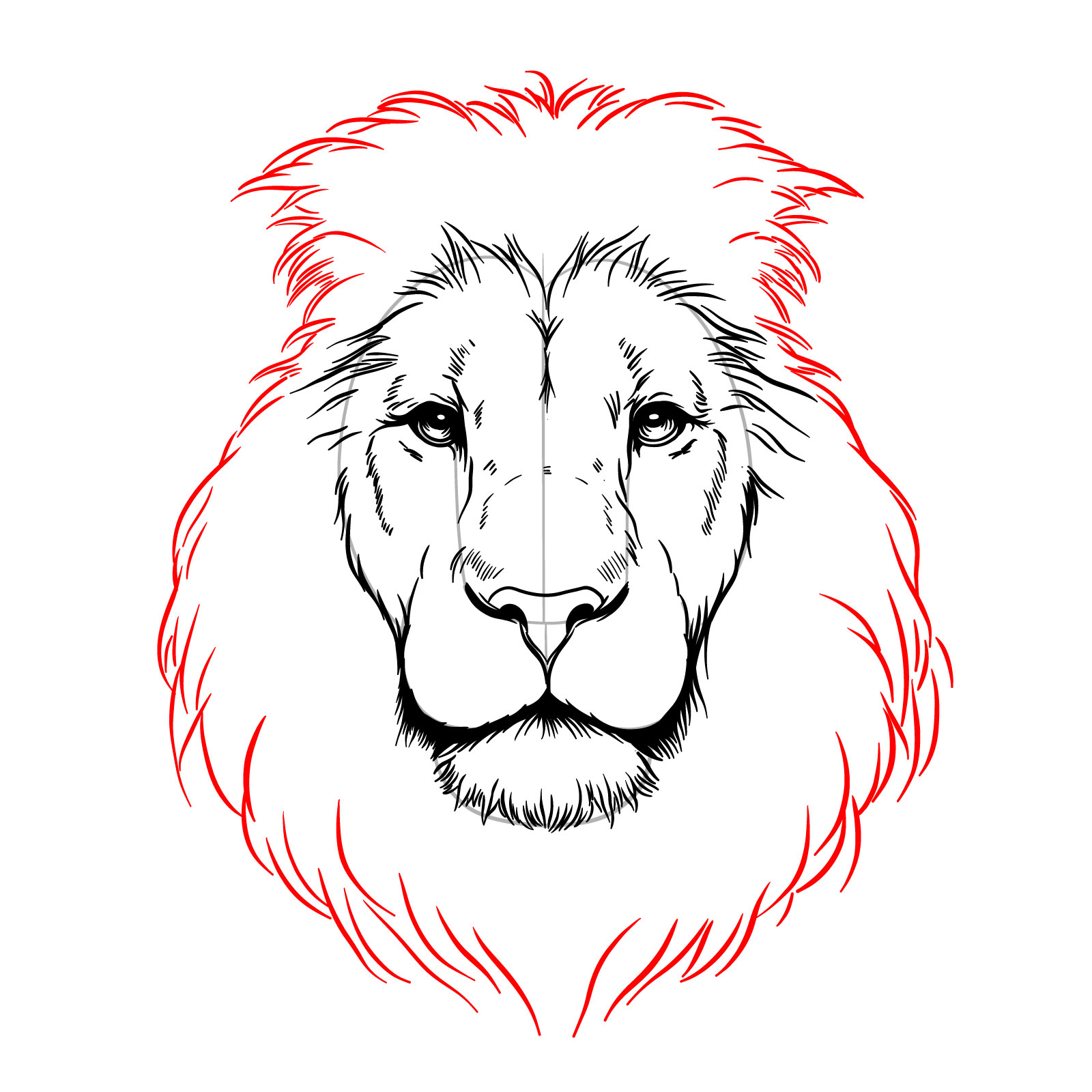 Sketching the main mane shape in a lion's face front view drawing - step 10