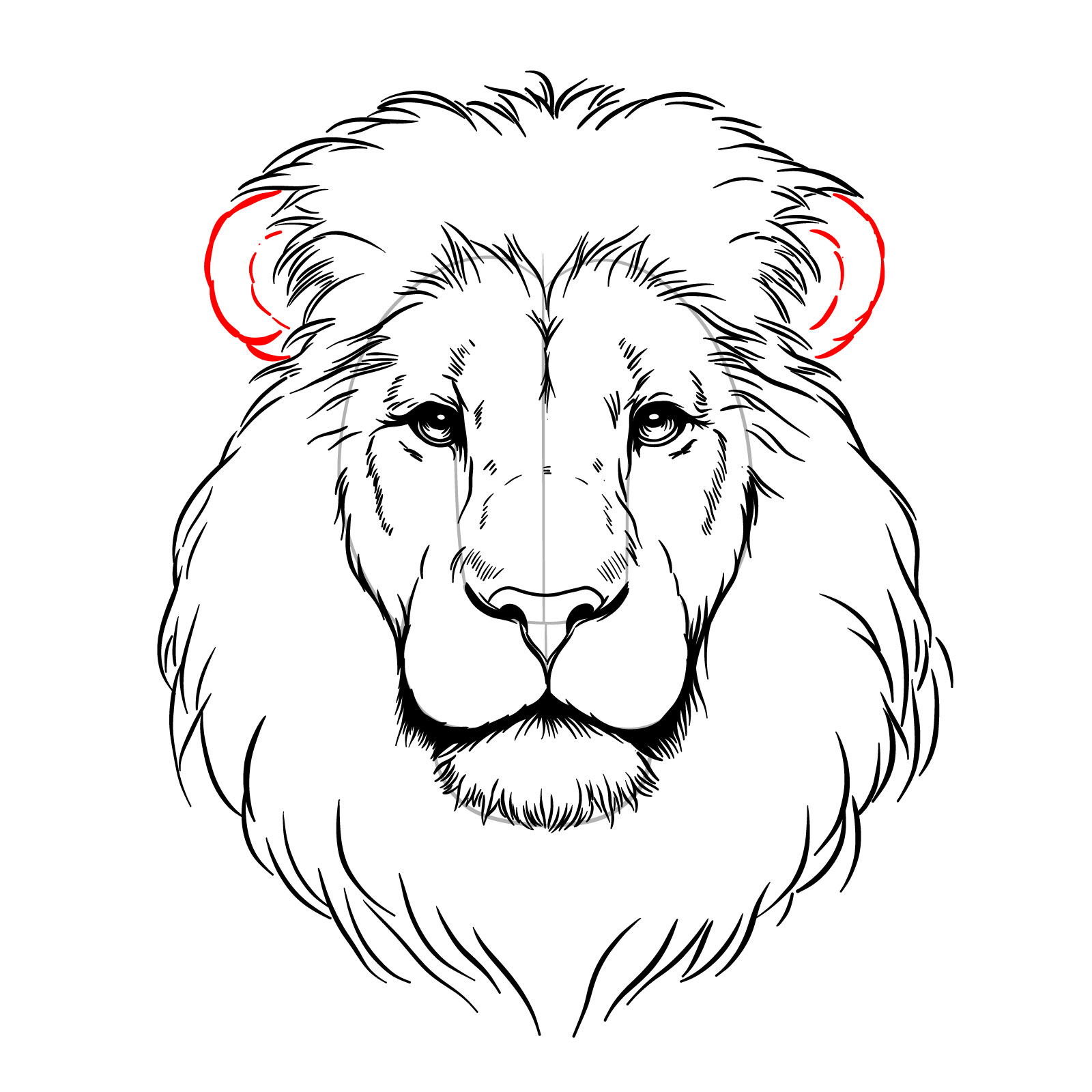 Drawing the ears on a lion's face front view guide - step 11