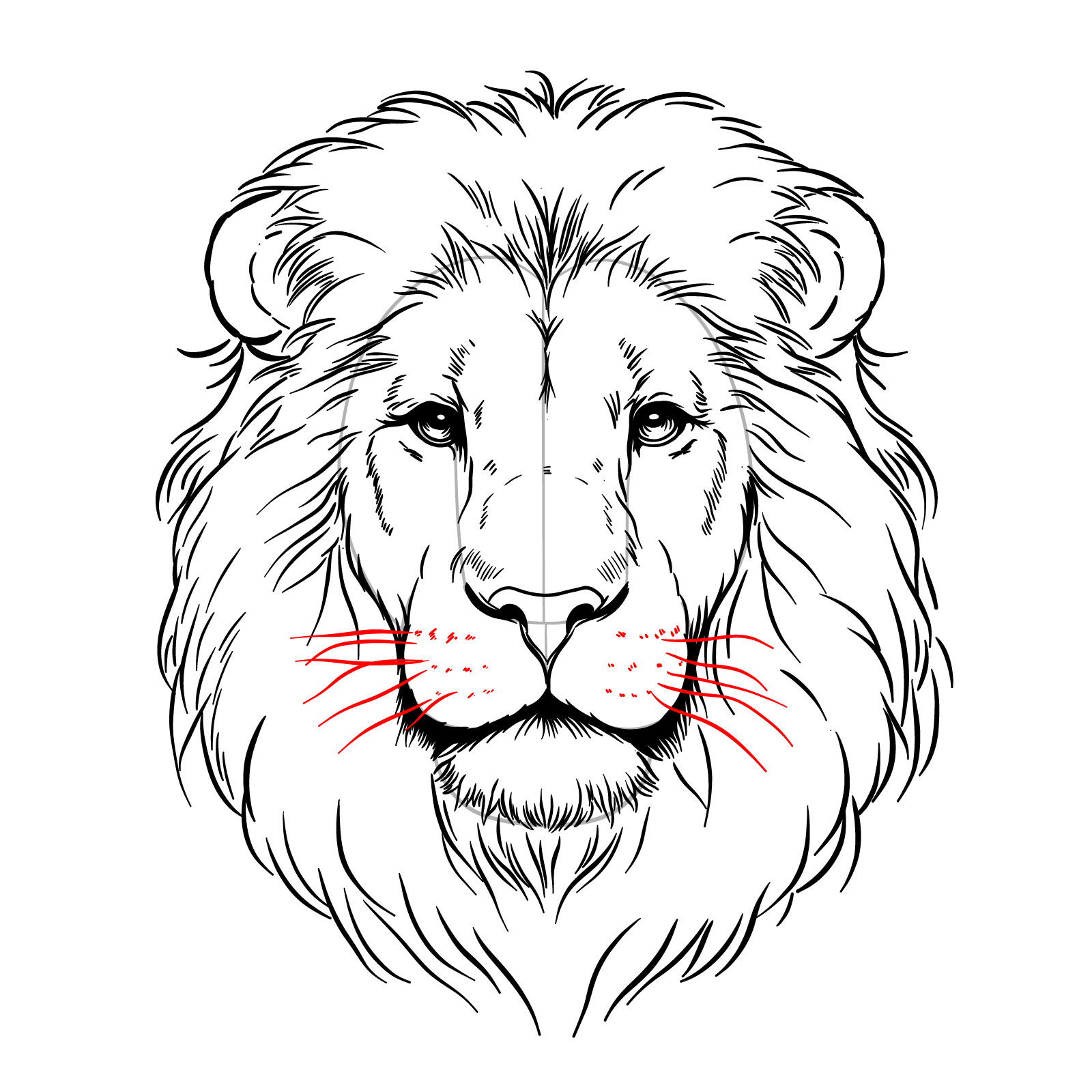 Sketching whiskers and facial marks on a lion's face drawing - step 13