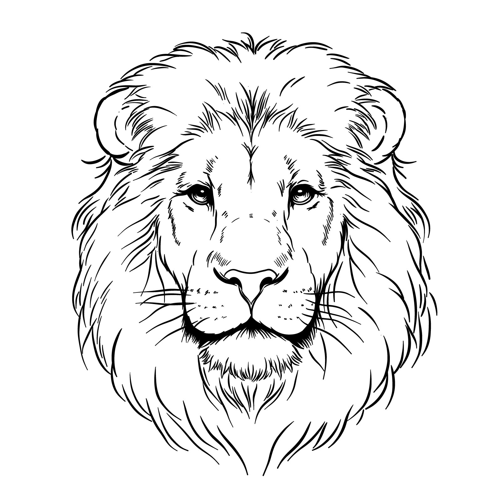 How to draw a realistic lion's face in front view - the finished drawing