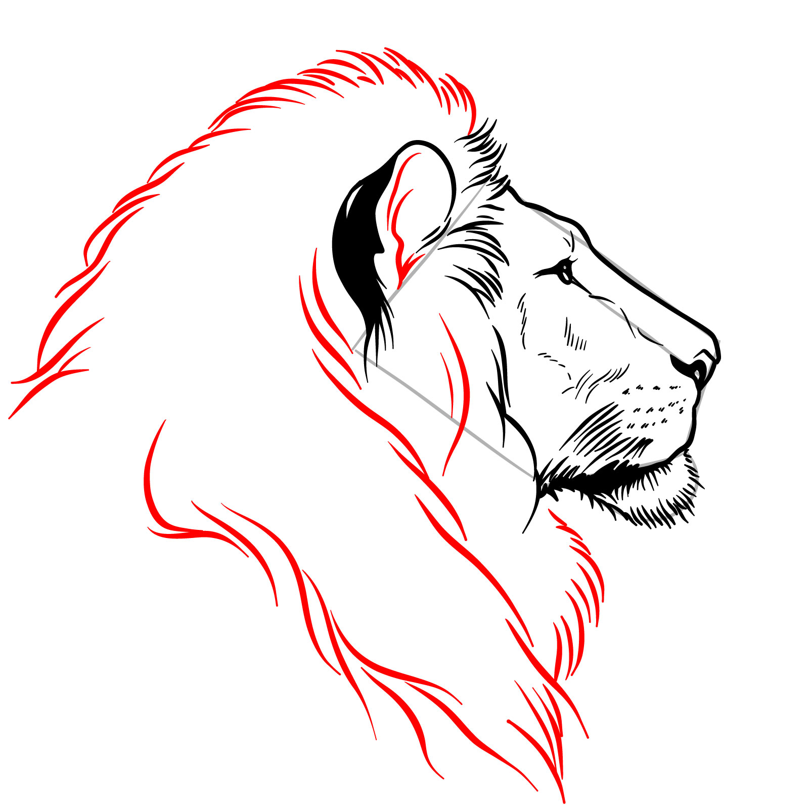 Sketching the full mane shape with fur details for a lion's head - step 08