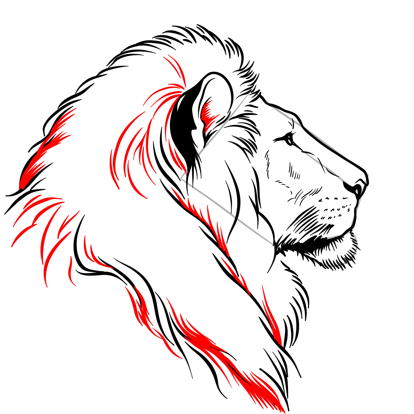 Additional mane fur and inner ear shading on a lion's head drawing - step 09