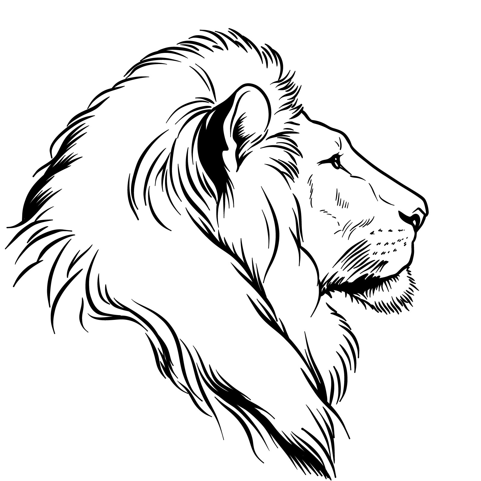 Easy drawing of a realistic lion's head side view