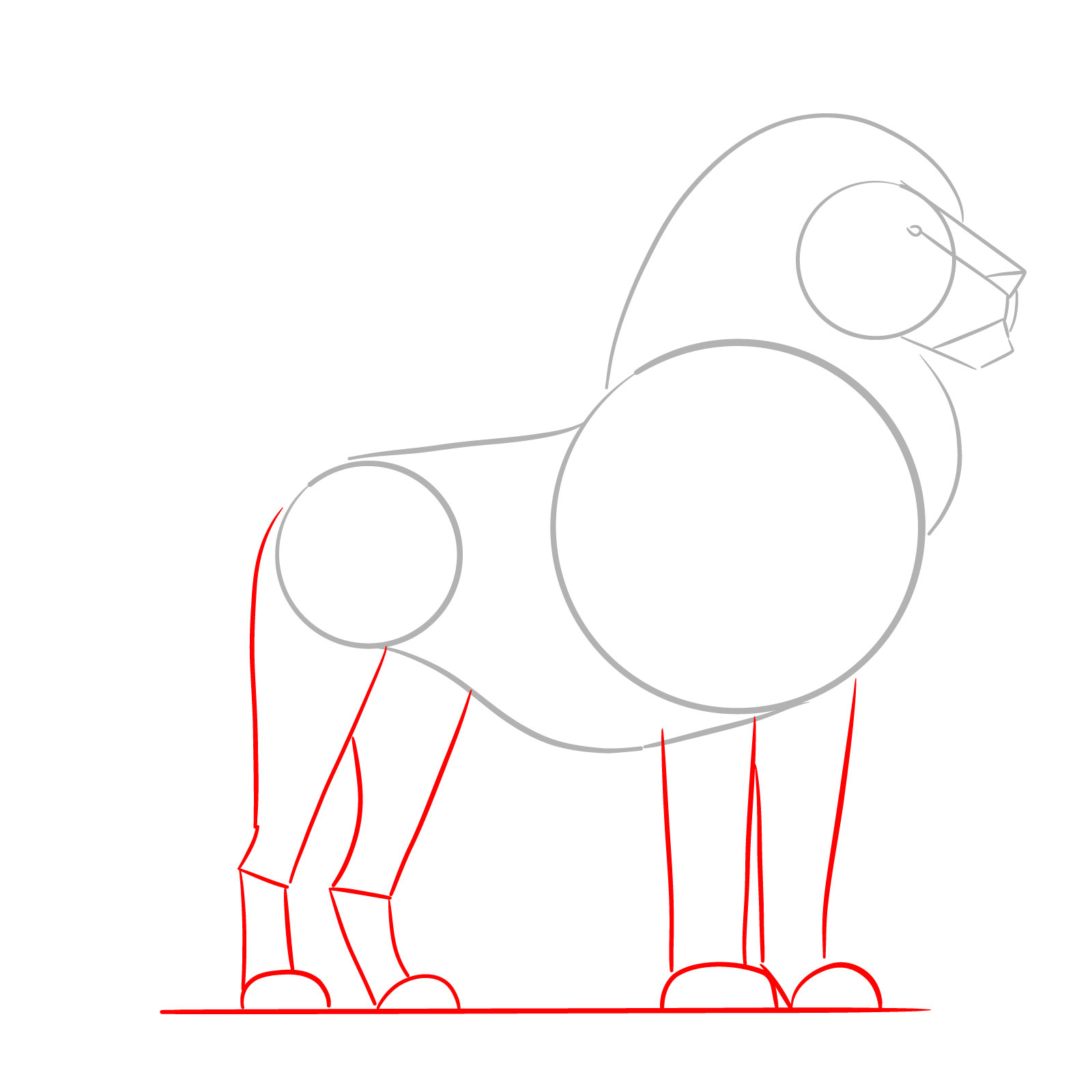 Basic shapes for the legs in a standing lion drawing instruction - step 03