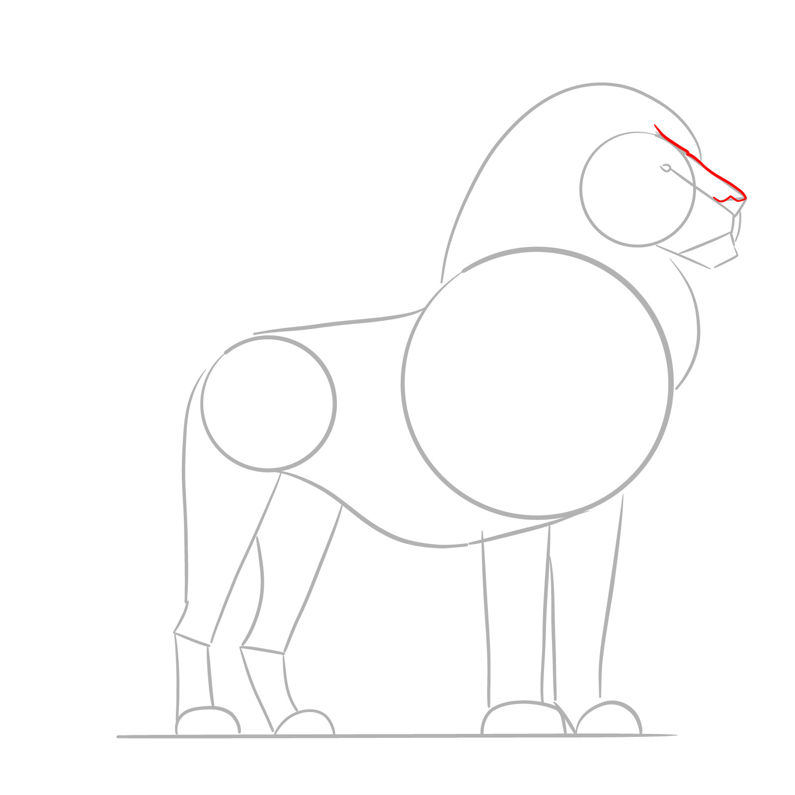 Detailing the muzzle and nose in a standing lion drawing step - step 04