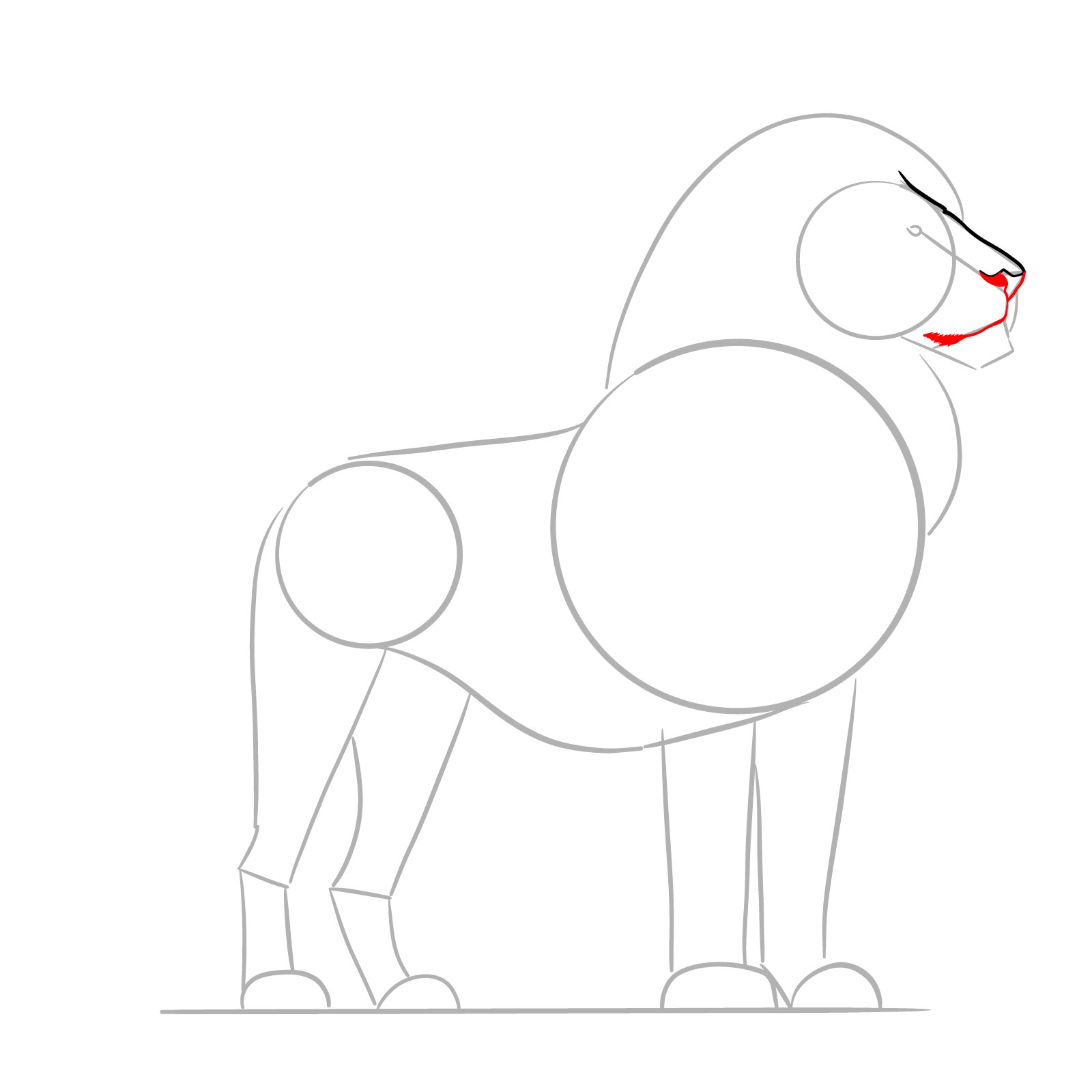 Drawing the mouth and chin details in a standing lion tutorial - step 05