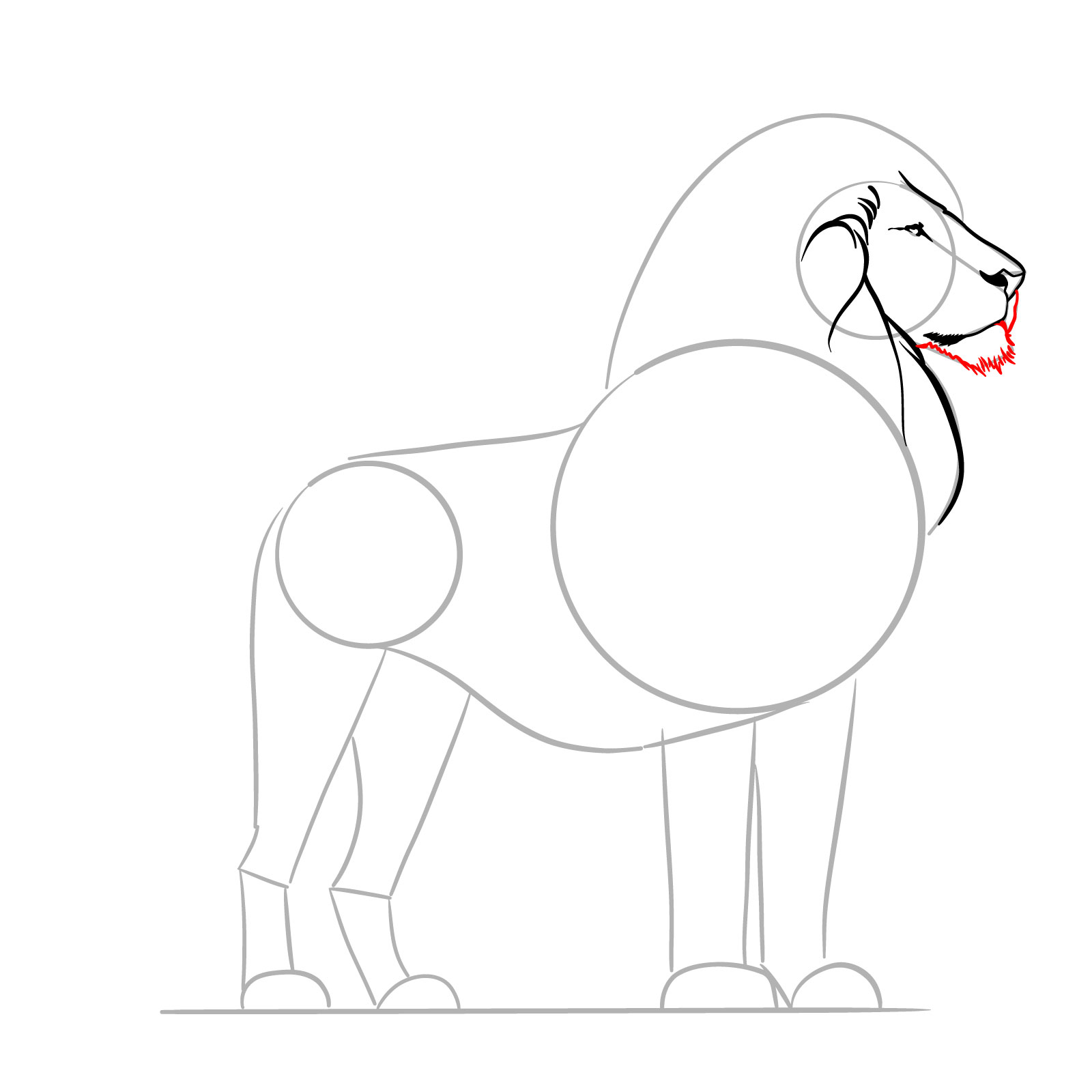 Sketching the chin and lower jaw in a standing lion drawing guide - step 07