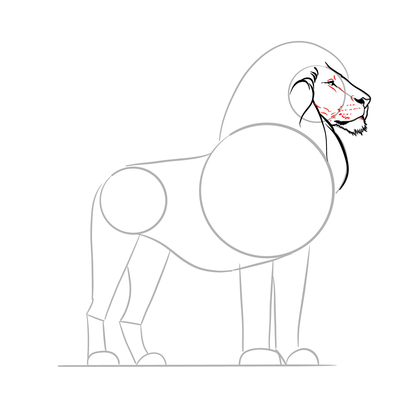 Fine details of the facial features in a how-to-draw a standing lion tutorial - step 08
