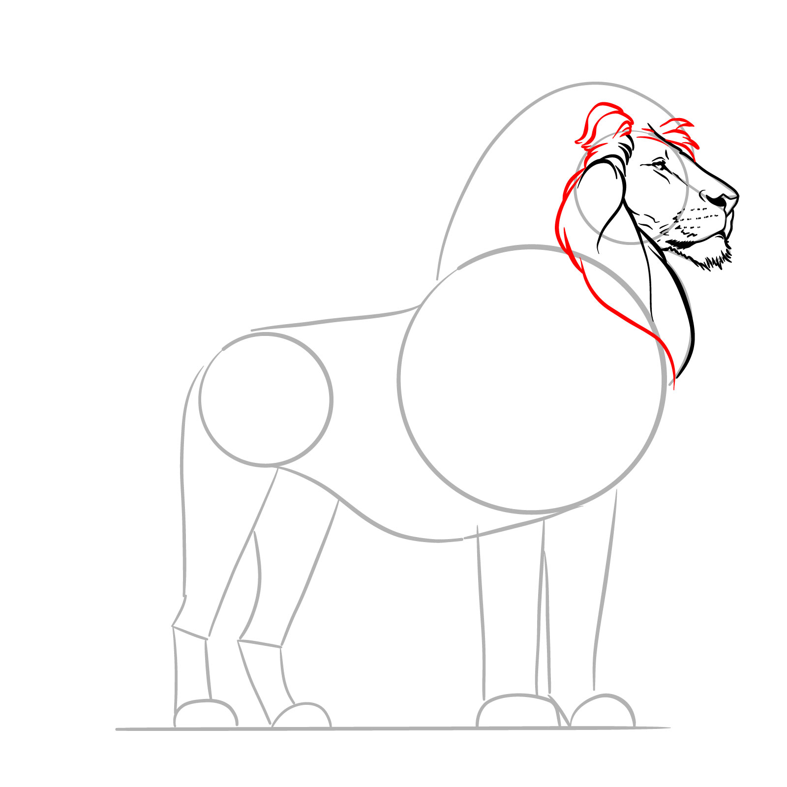 Enhancing the mane in a standing lion drawing instruction - step 09