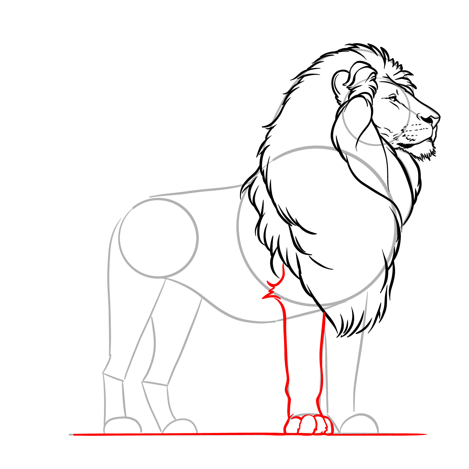 Illustrating the front right leg and paw of a standing lion - step 12