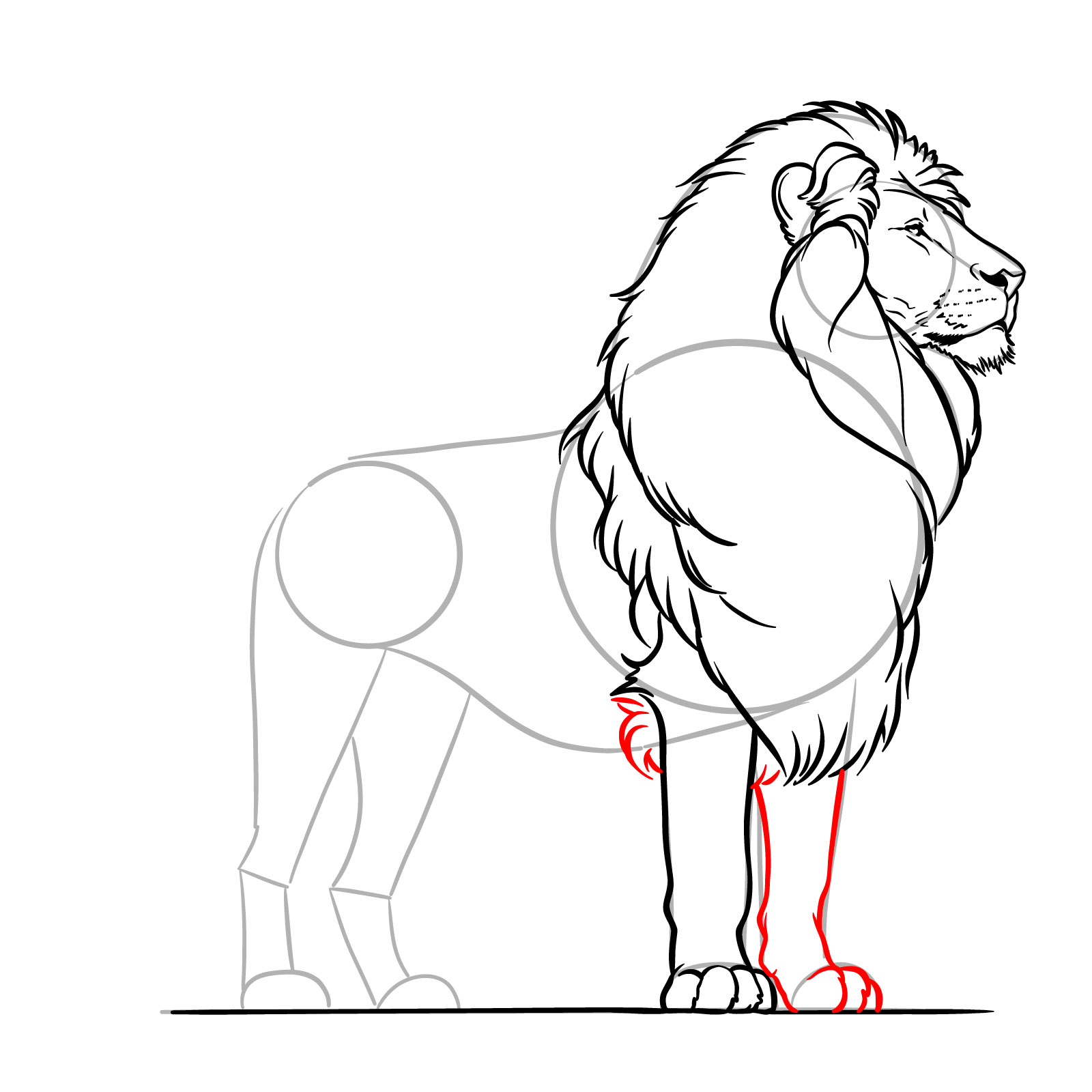Depicting the second front leg and paw in a lion drawing - step 13
