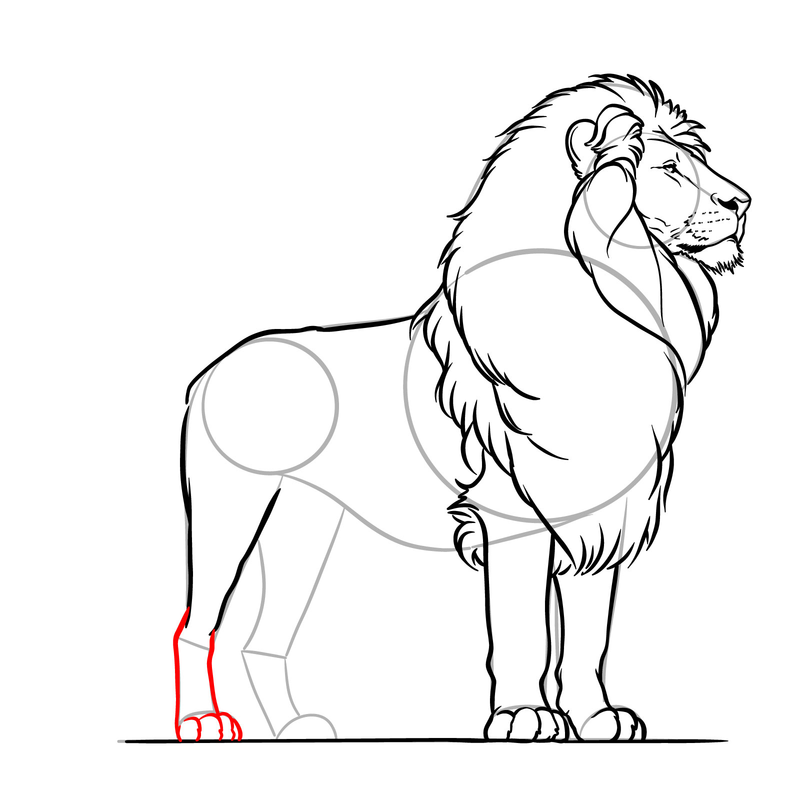 Completing the rear right leg in a standing lion drawing - step 15