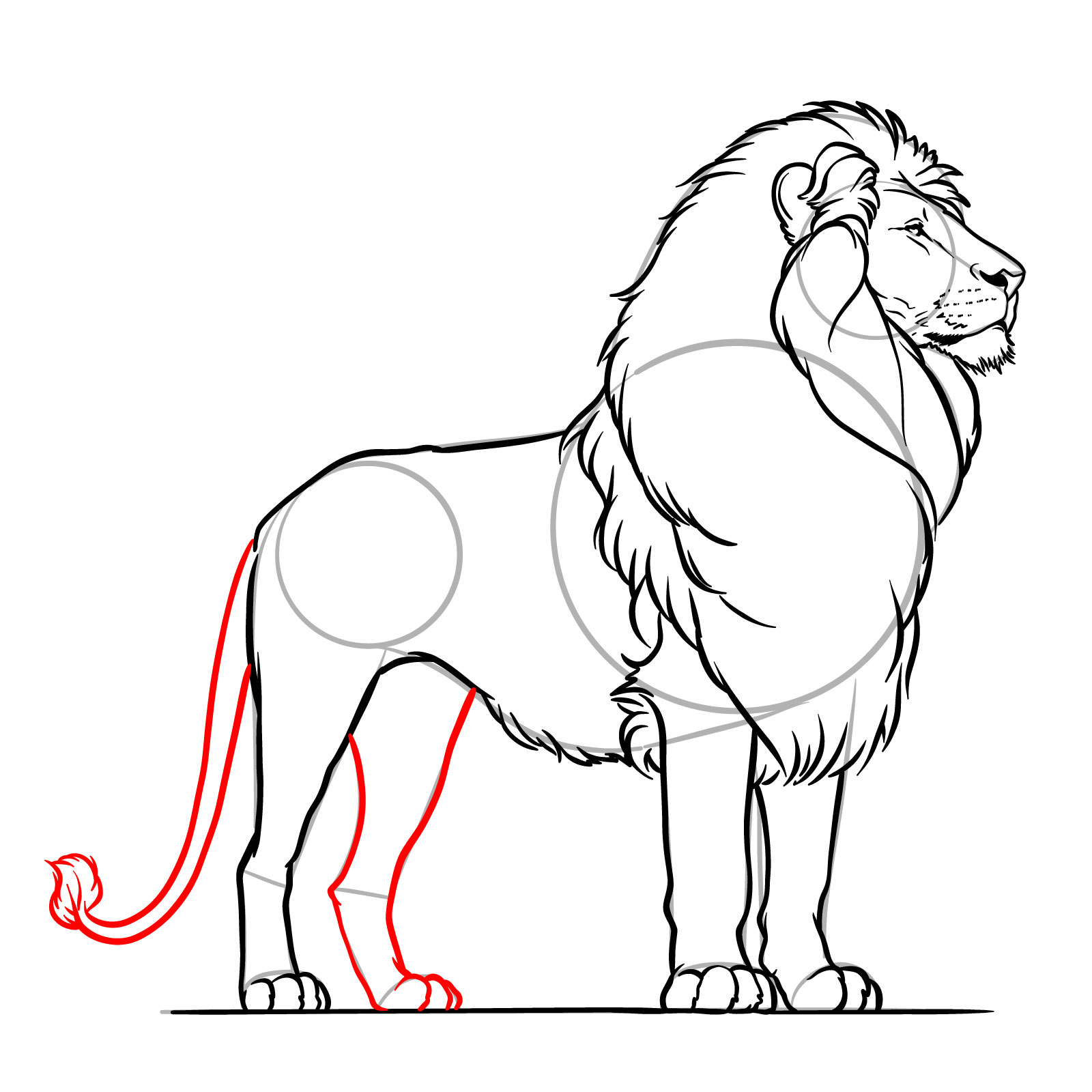 Adding the second rear leg and tail to a lion sketch - step 17