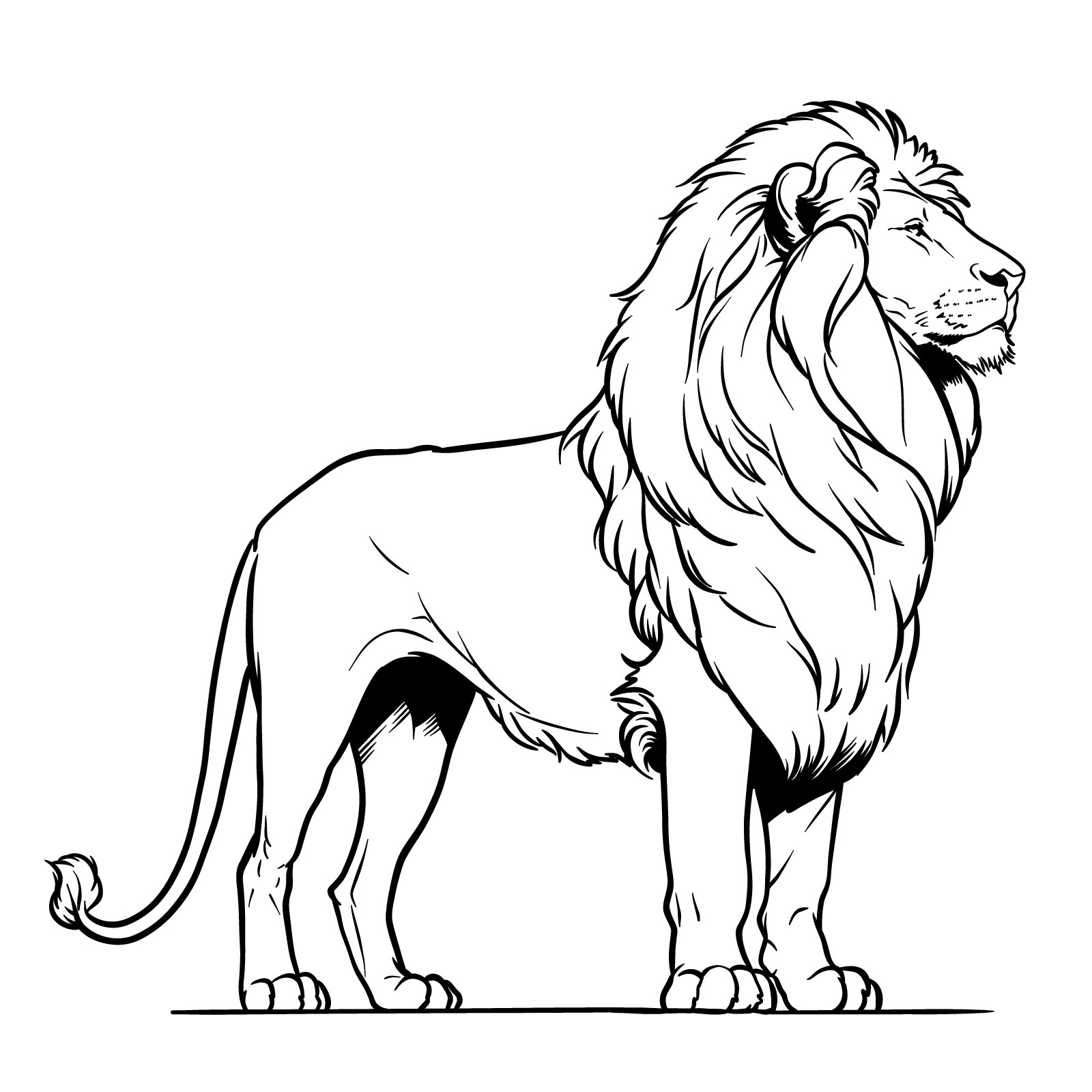 Finished piece of the step-by-step guide on how to draw a realistic standing lion in side view