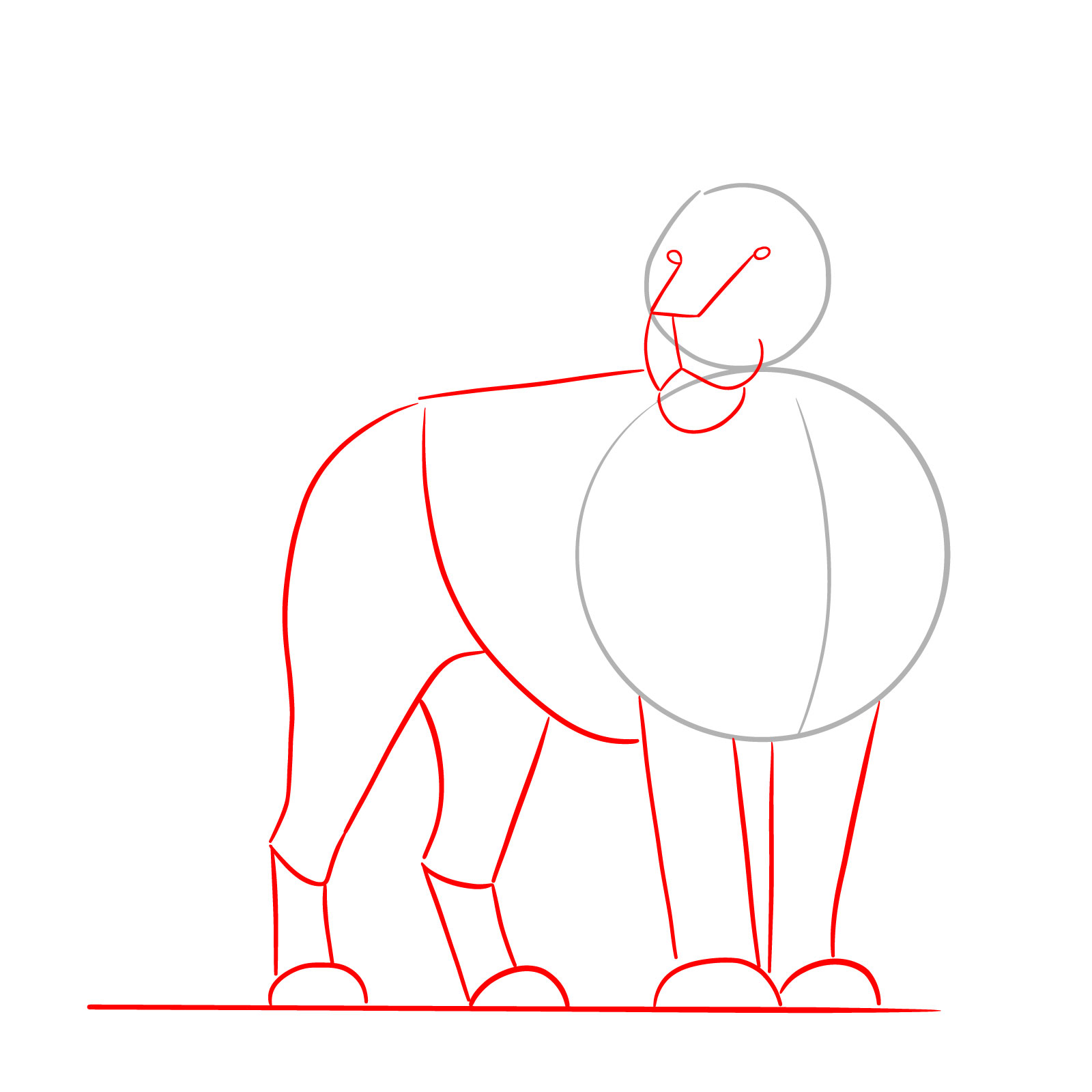 Guide for drawing the lion's body and legs in a standing lion drawing tutorial - step 02