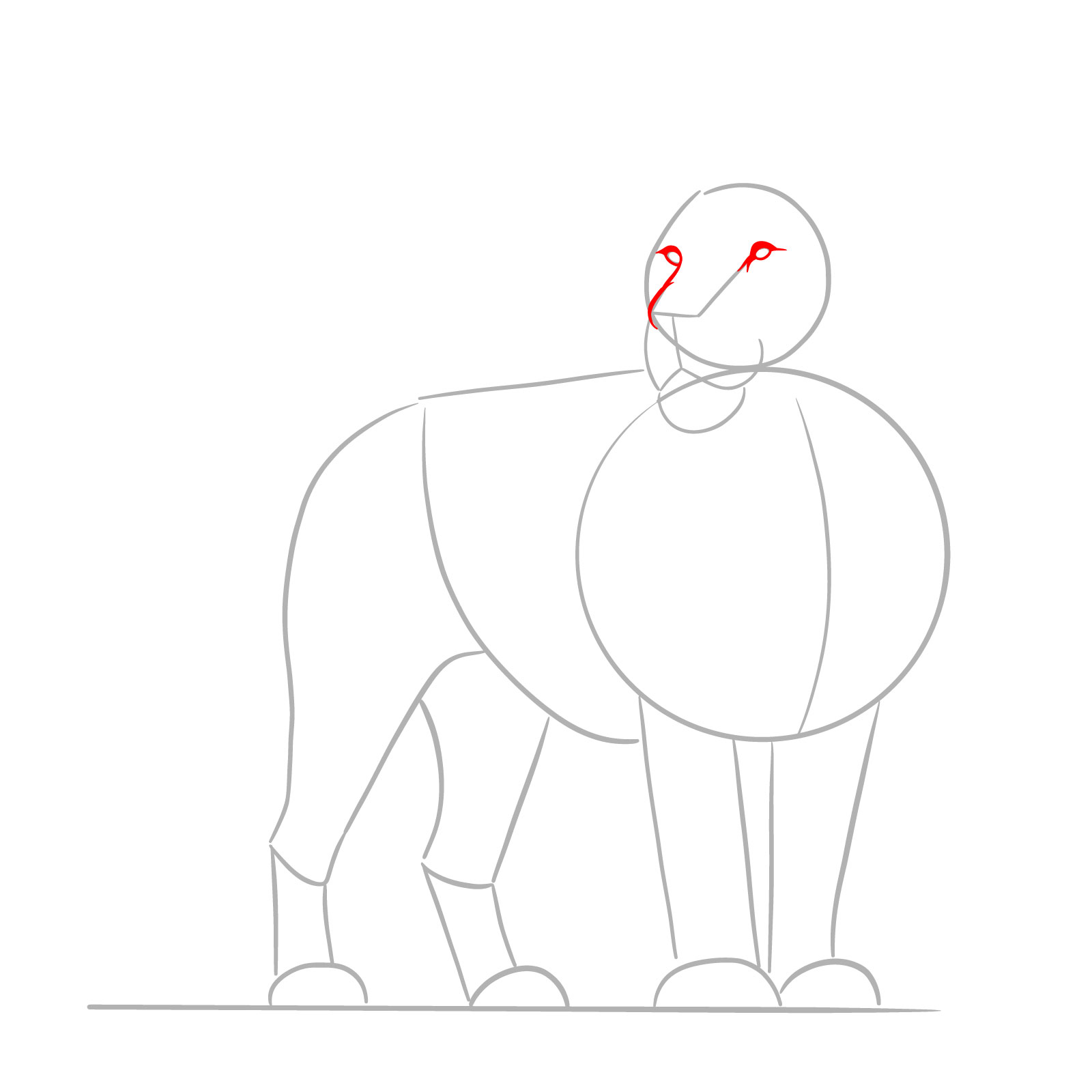Outline of eyes and upper nose for creating a realistic standing lion drawing - step 03