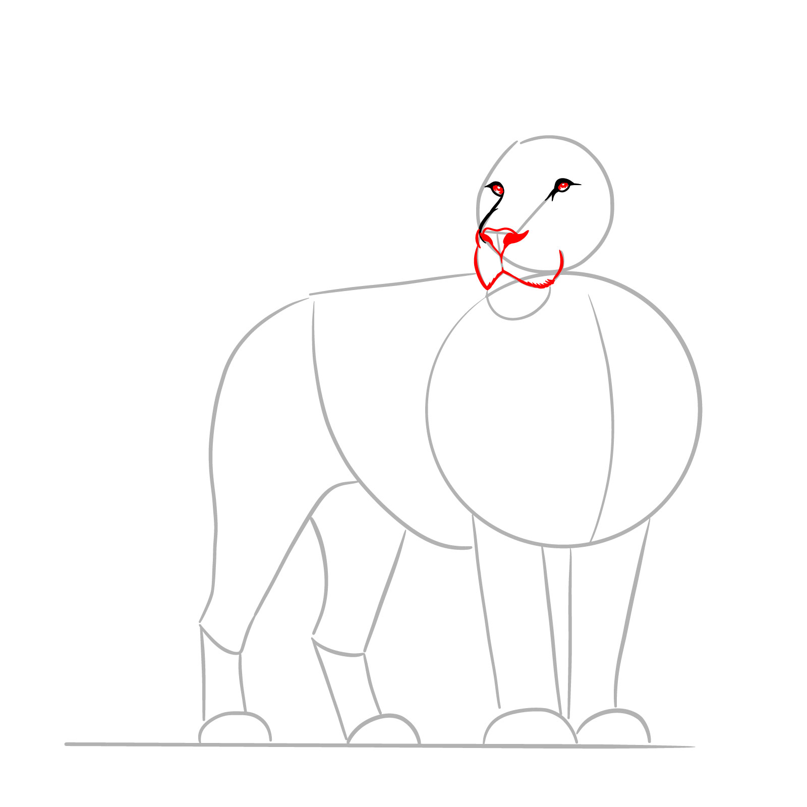 Step in drawing a lion's nose and mouth for a detailed standing lion sketch - step 04
