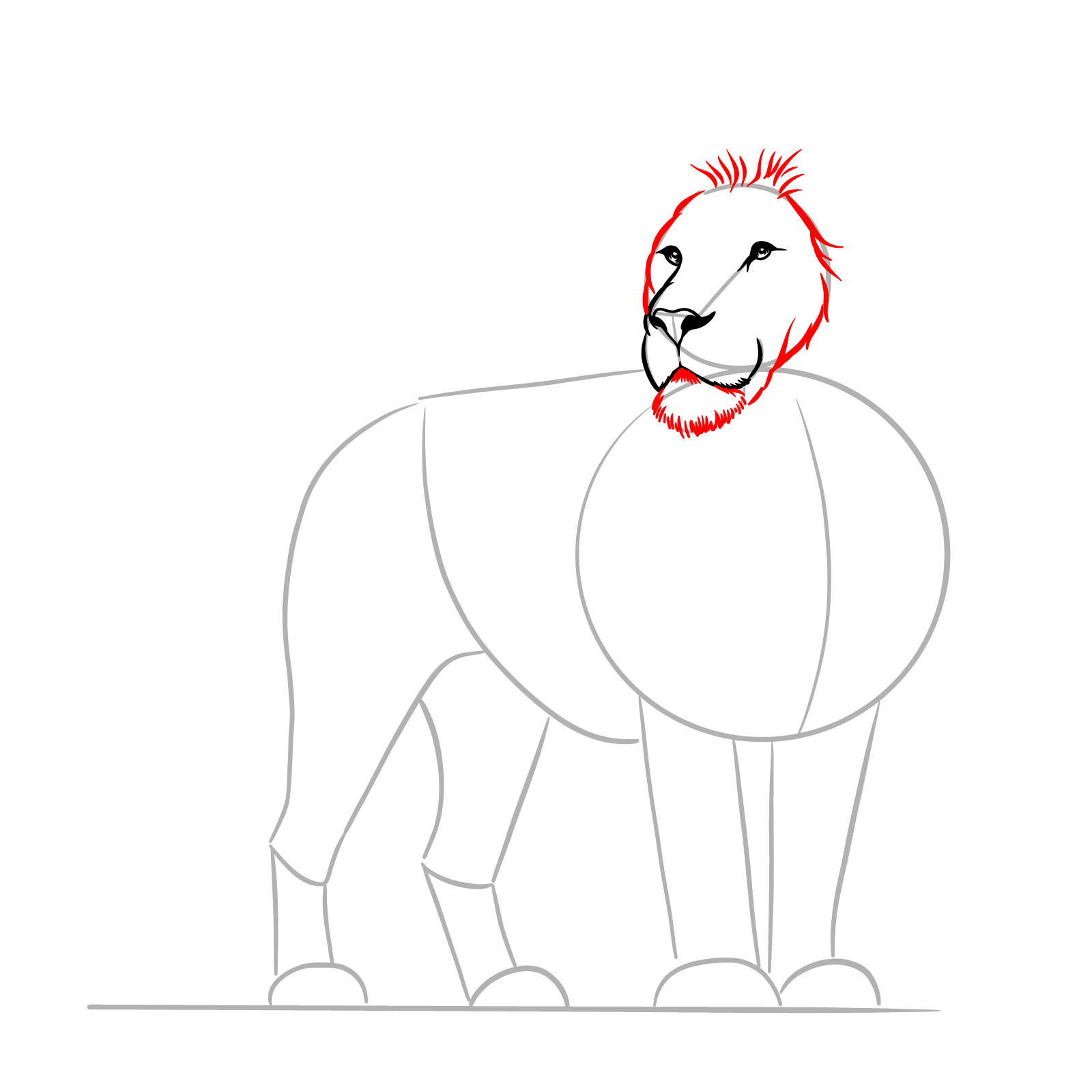 Adding the mouth area and chin to a standing lion drawing to define the face - step 05