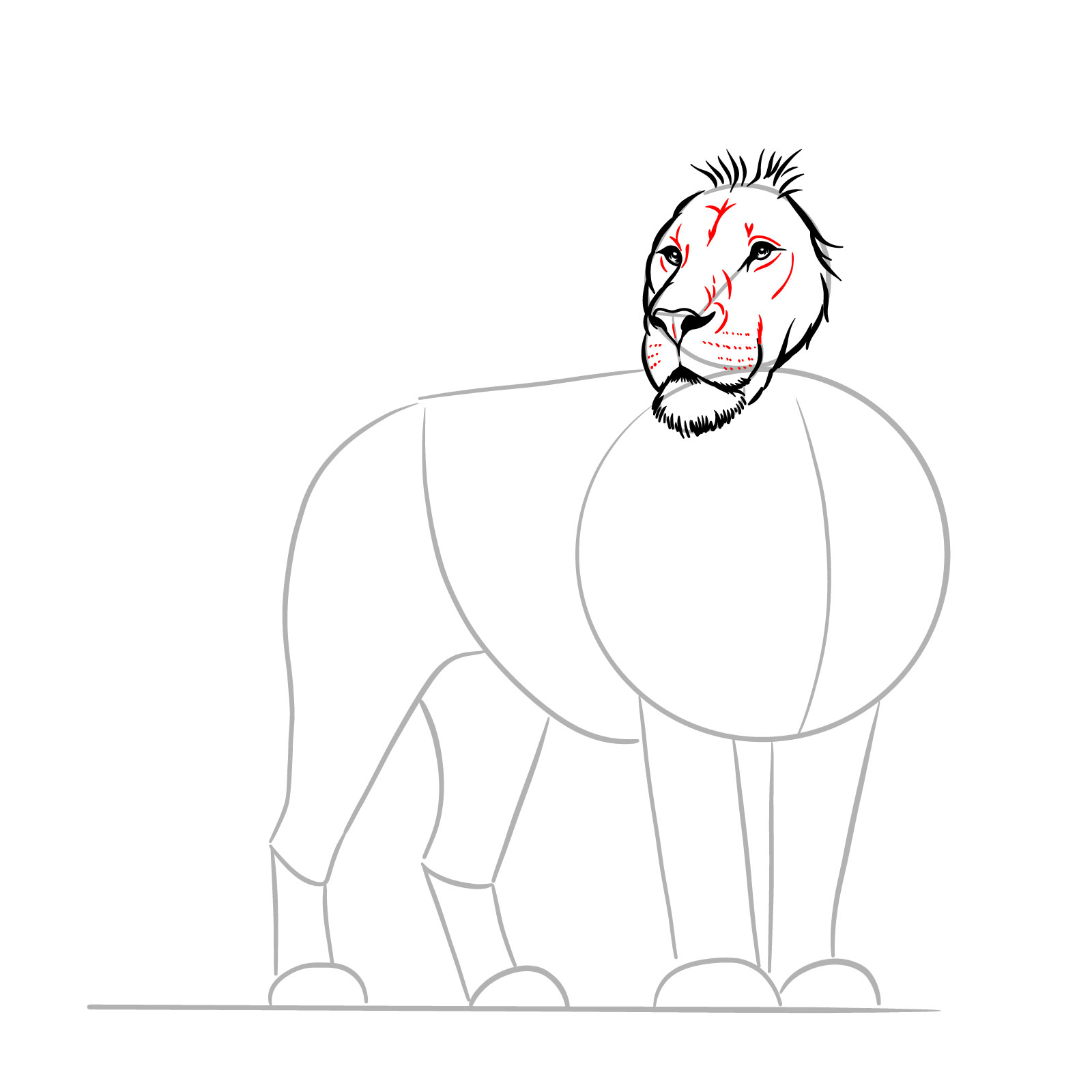 Detailing the facial features in a step-by-step standing lion drawing - step 06