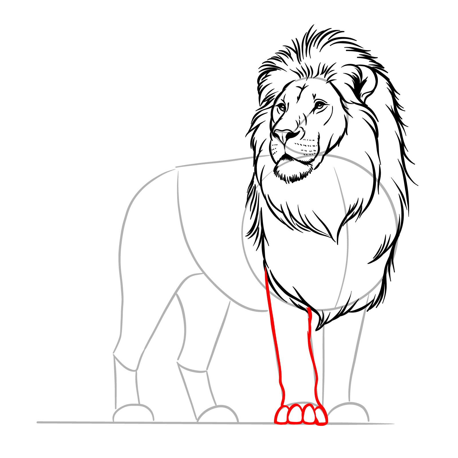 Detailed front leg and paw drawing in a step-by-step standing lion guide - step 09