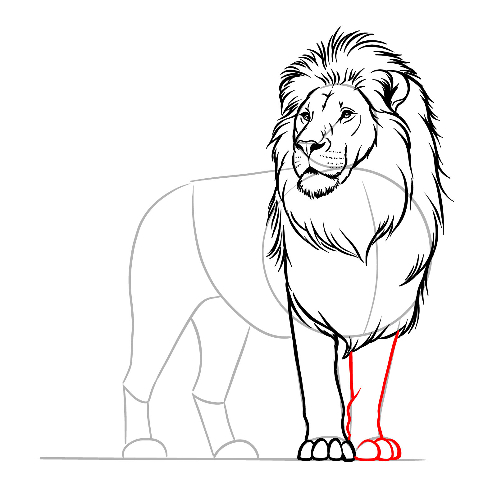 Instruction for drawing the lion's second front leg in a standing lion tutorial - step 10