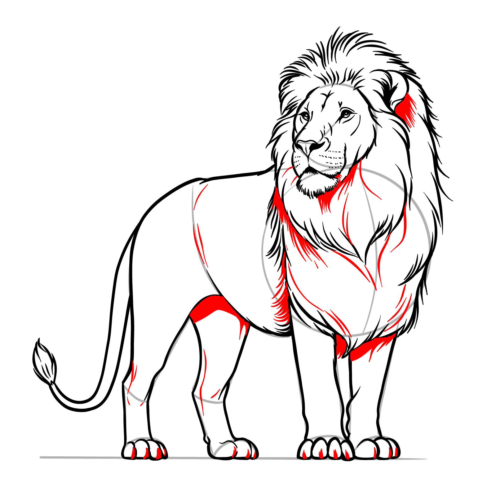 Refining a standing lion drawing with small details and shading techniques - step 14