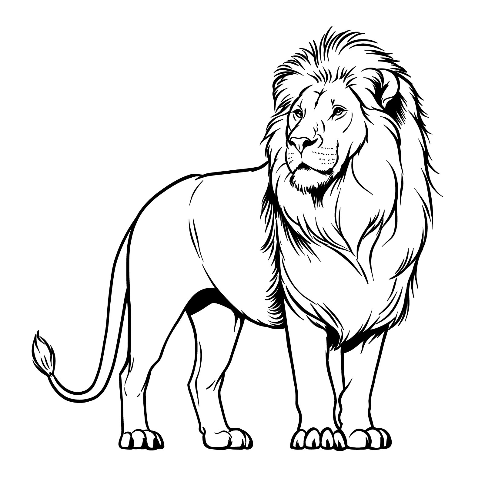 How to draw a lion - standing pose, 3/4 view, head turned