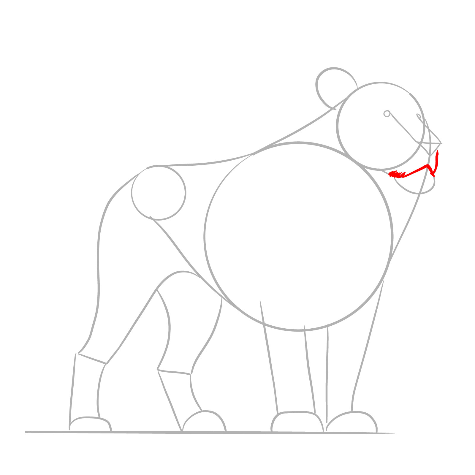 Drawing the mouth of a standing lion in a step-by-step sketch guide - step 03
